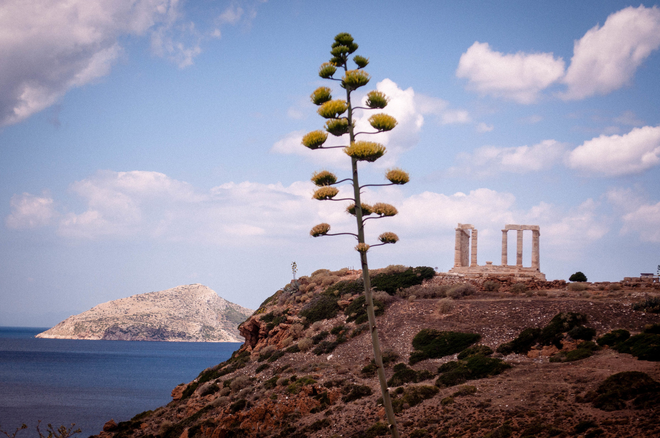 Blue sky with clouds, sea and creeks with desert-like vegetation.  On the foreground we see a tree and on the background we see the remaining ruins of the temple of Sounion