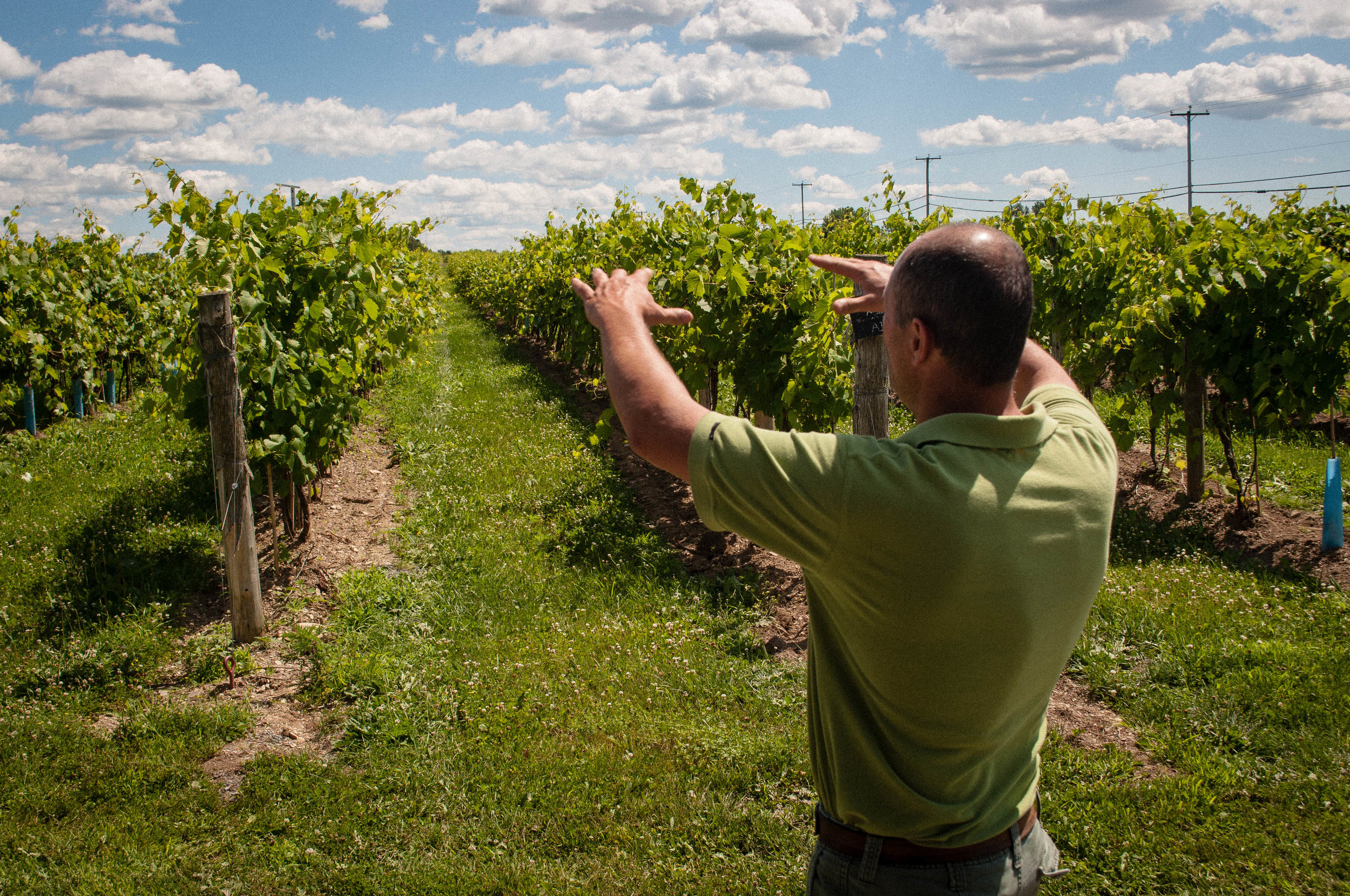 Vignoble La Bauge, a vineyard near Montreal