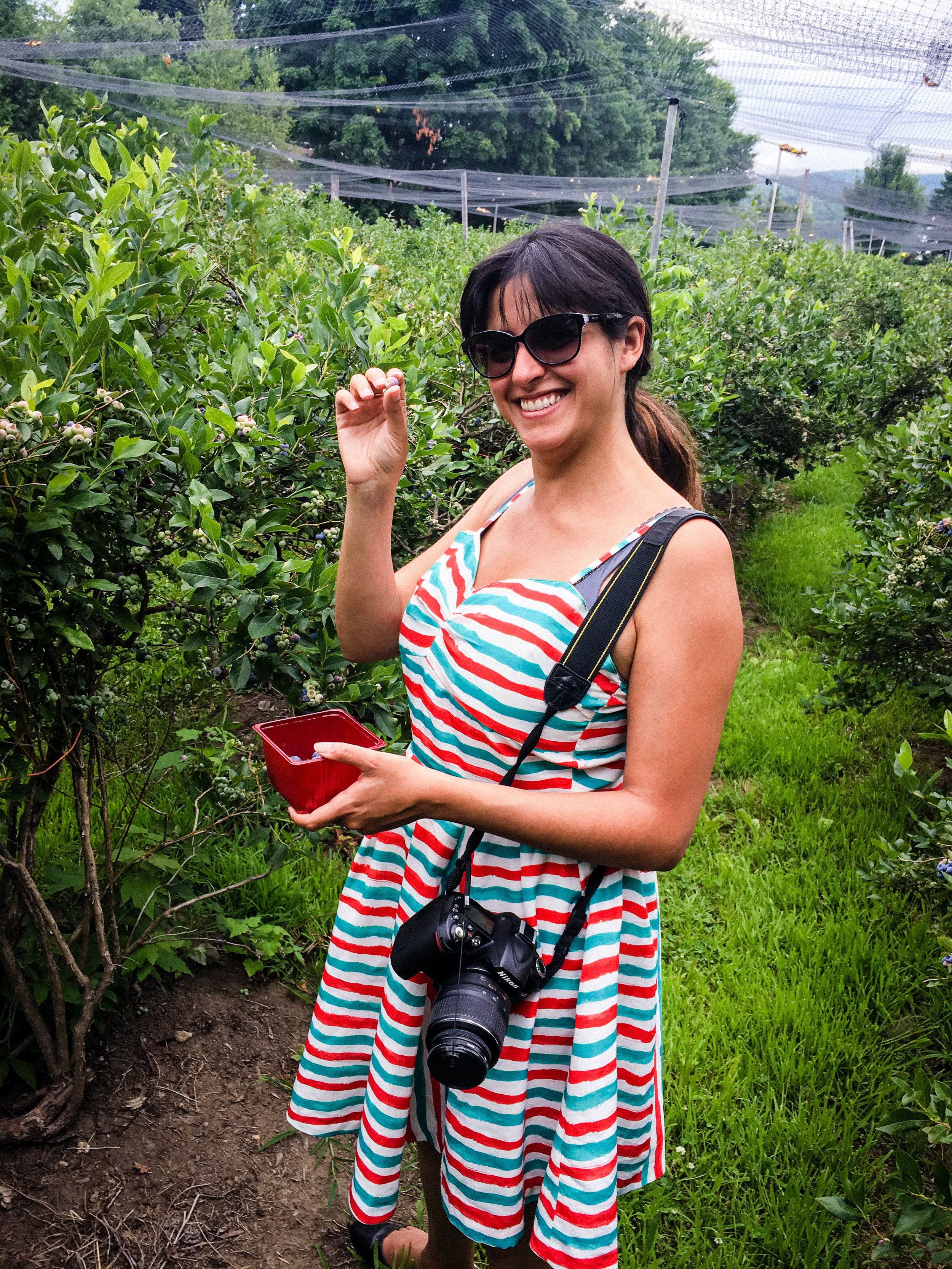 BRB Travel Blog picking blueberries at POTAGER MONT-ROUGE HALTE GOURMAND