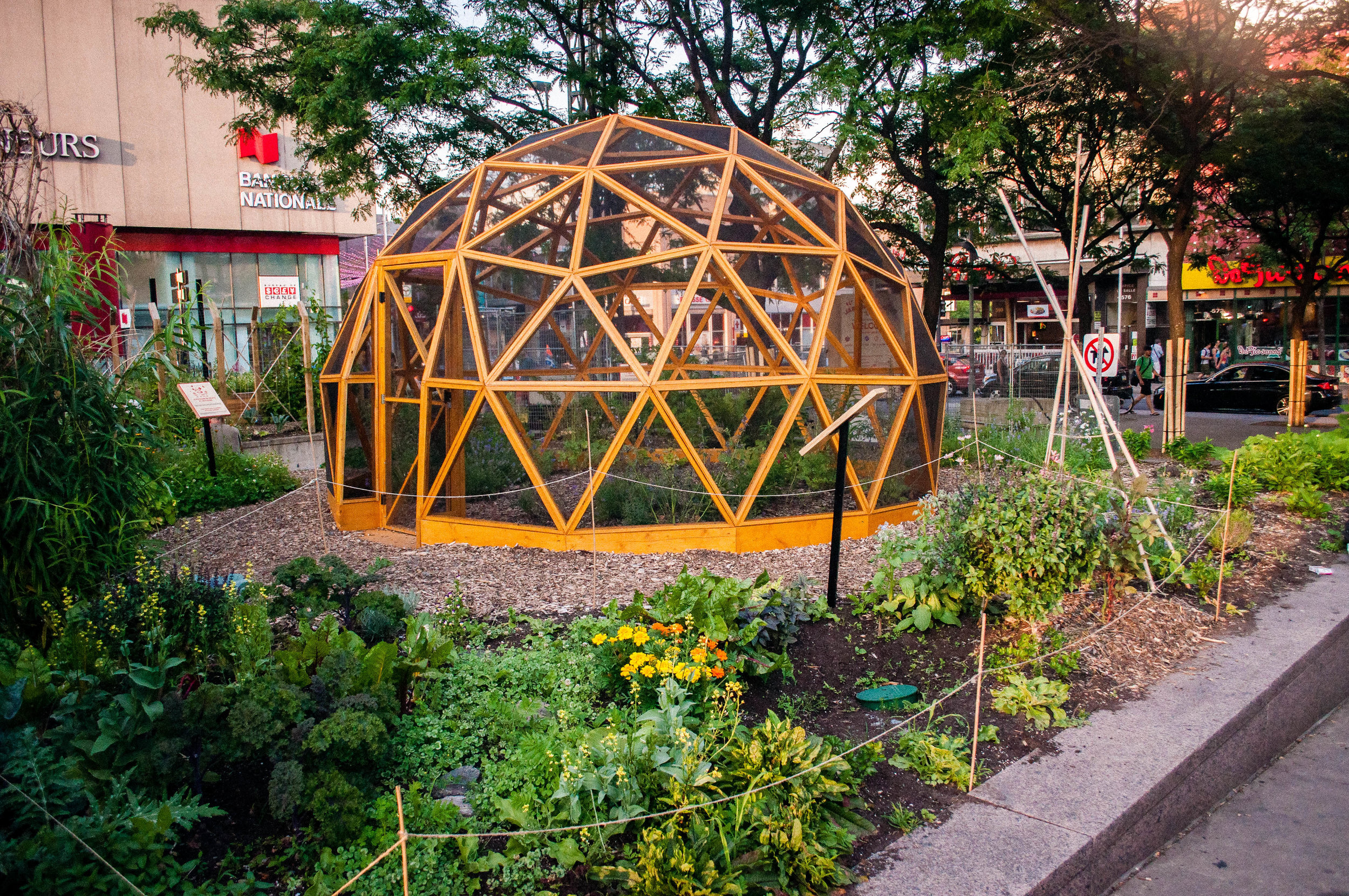 Jardins Gamelin garden, one of the 6 original terraces to enjoy the summer in Montreal