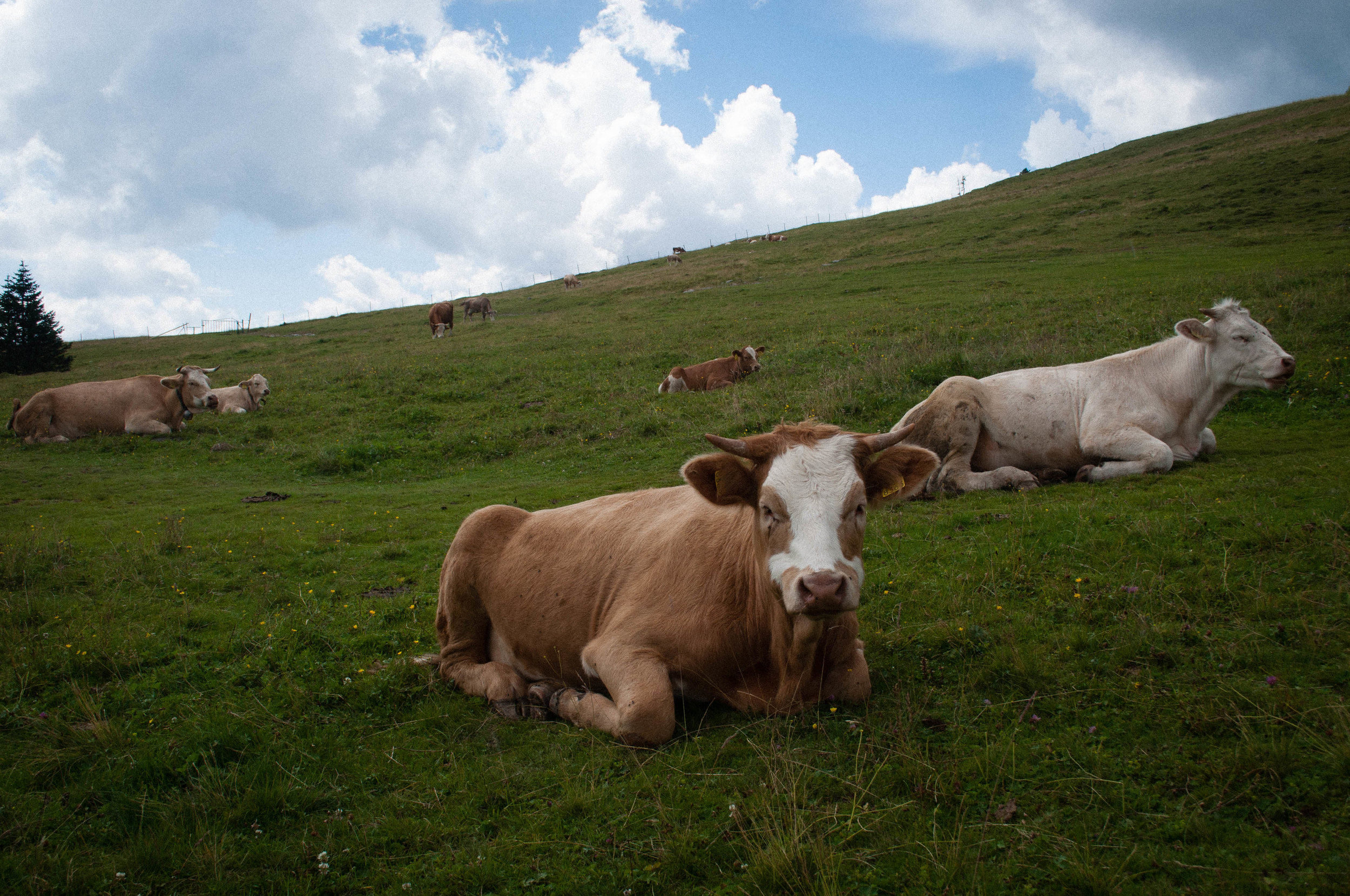 Velika Planina, a day trip from Ljubljana