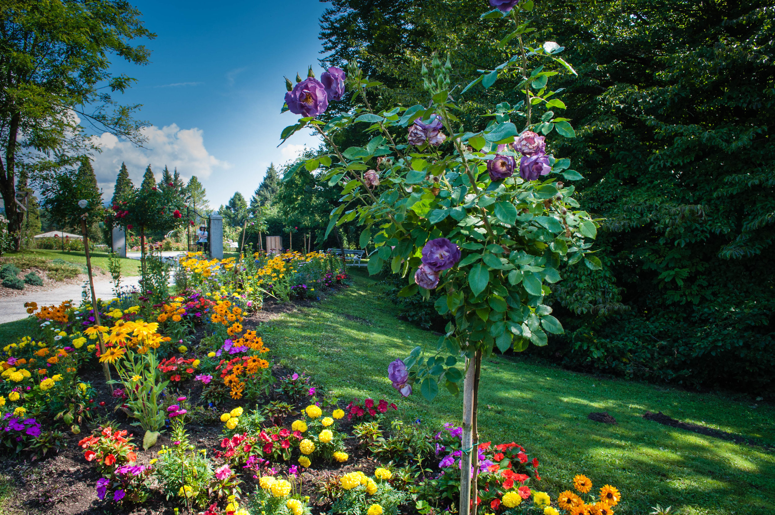 Arboretum, a day trip of Ljubljana