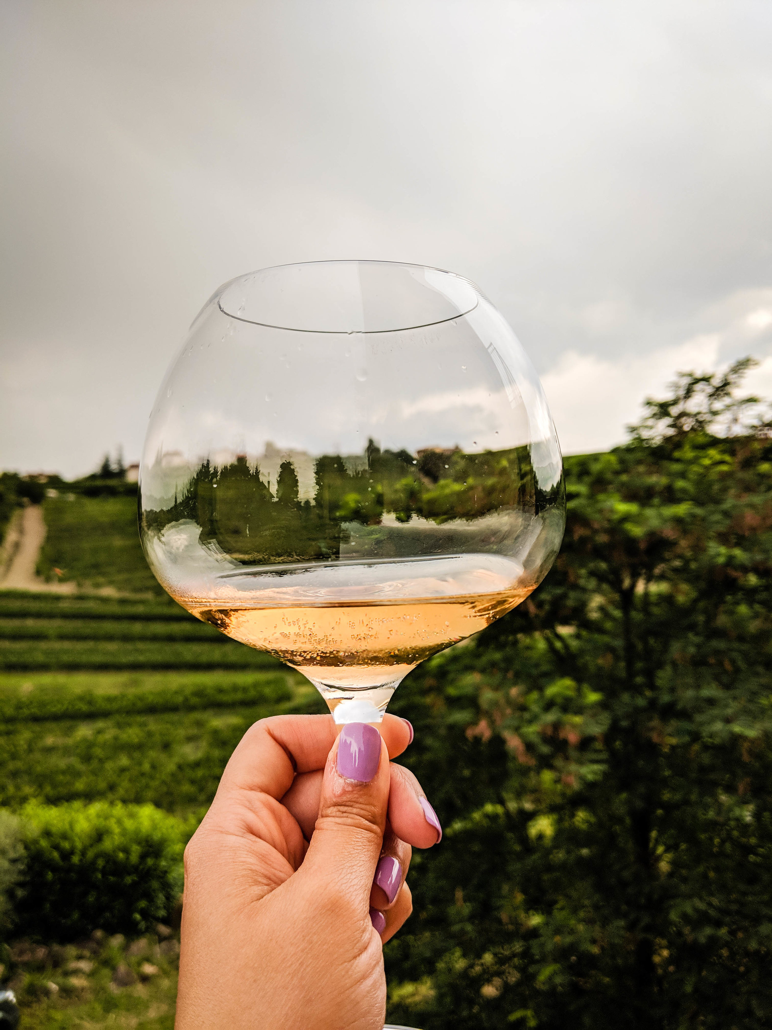 Orange wine of Kabaj Winery, located in Brda, Slovenia wine region