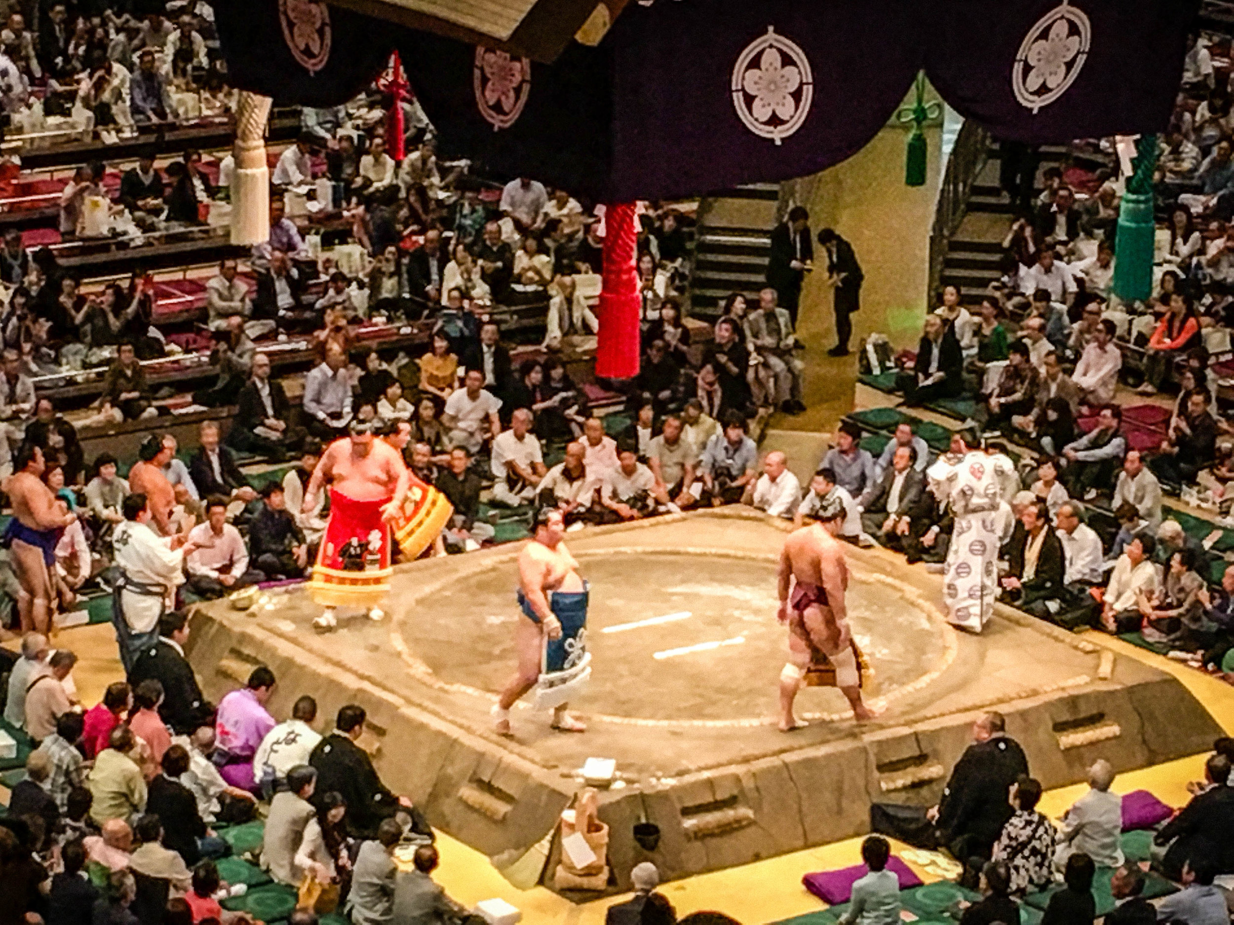 Sumo Tournament. Part of Tokyo itinerary 7 days