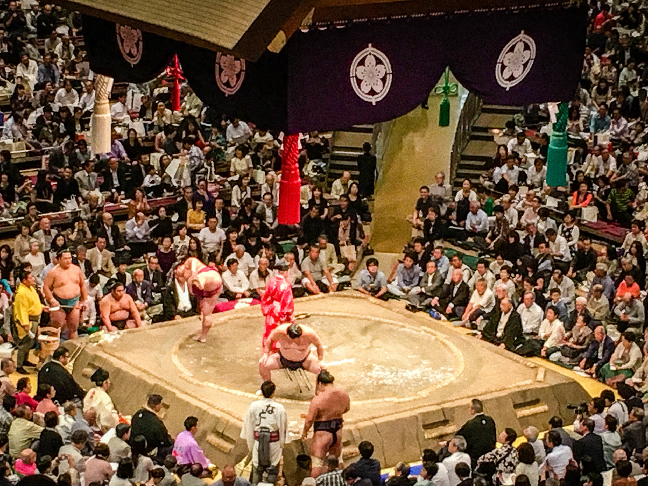 Sumo Tournament. Part of Tokyo itinerary 7 days
