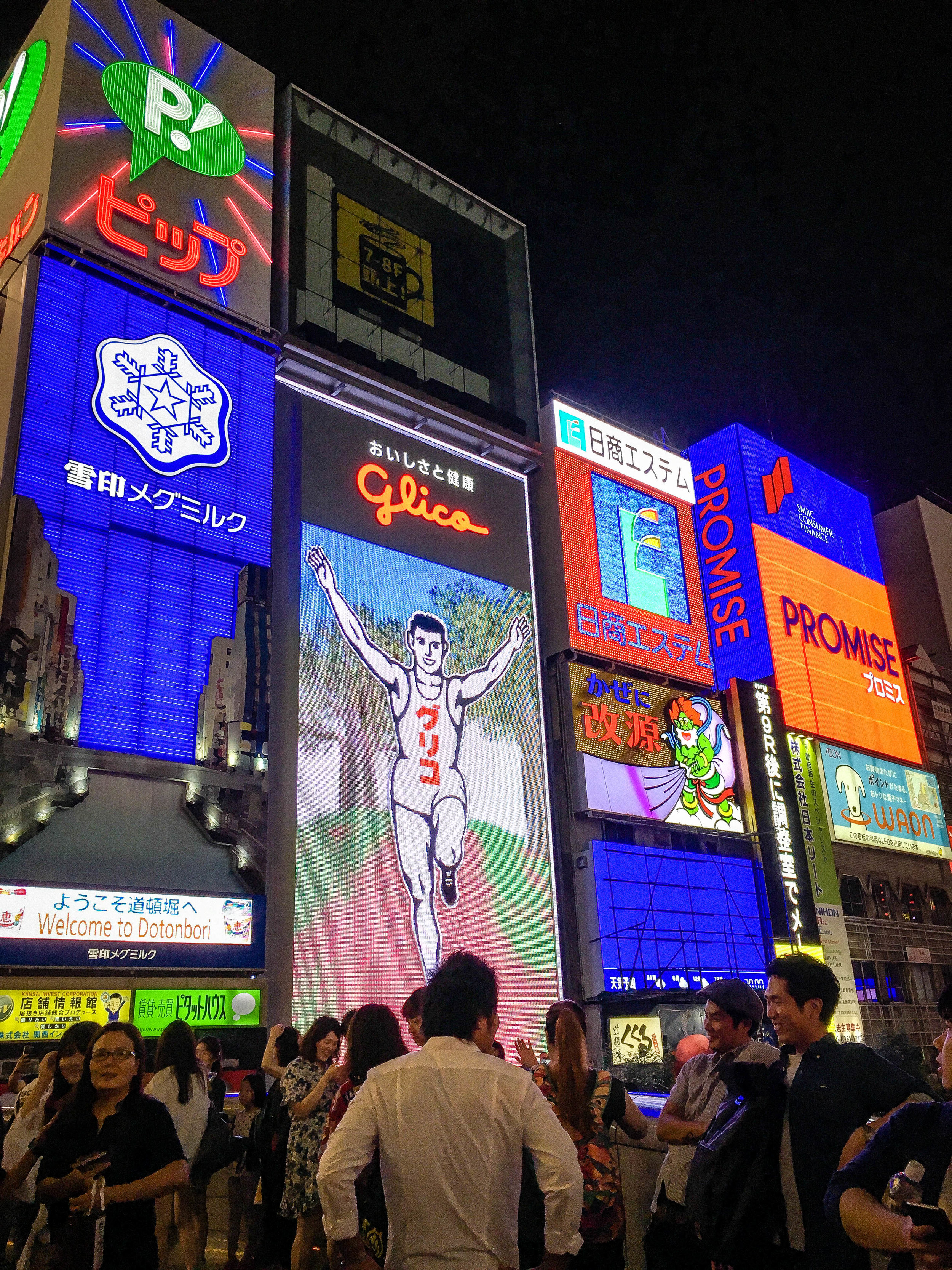 Dotonbori neon sign. Honeymoon in Japan