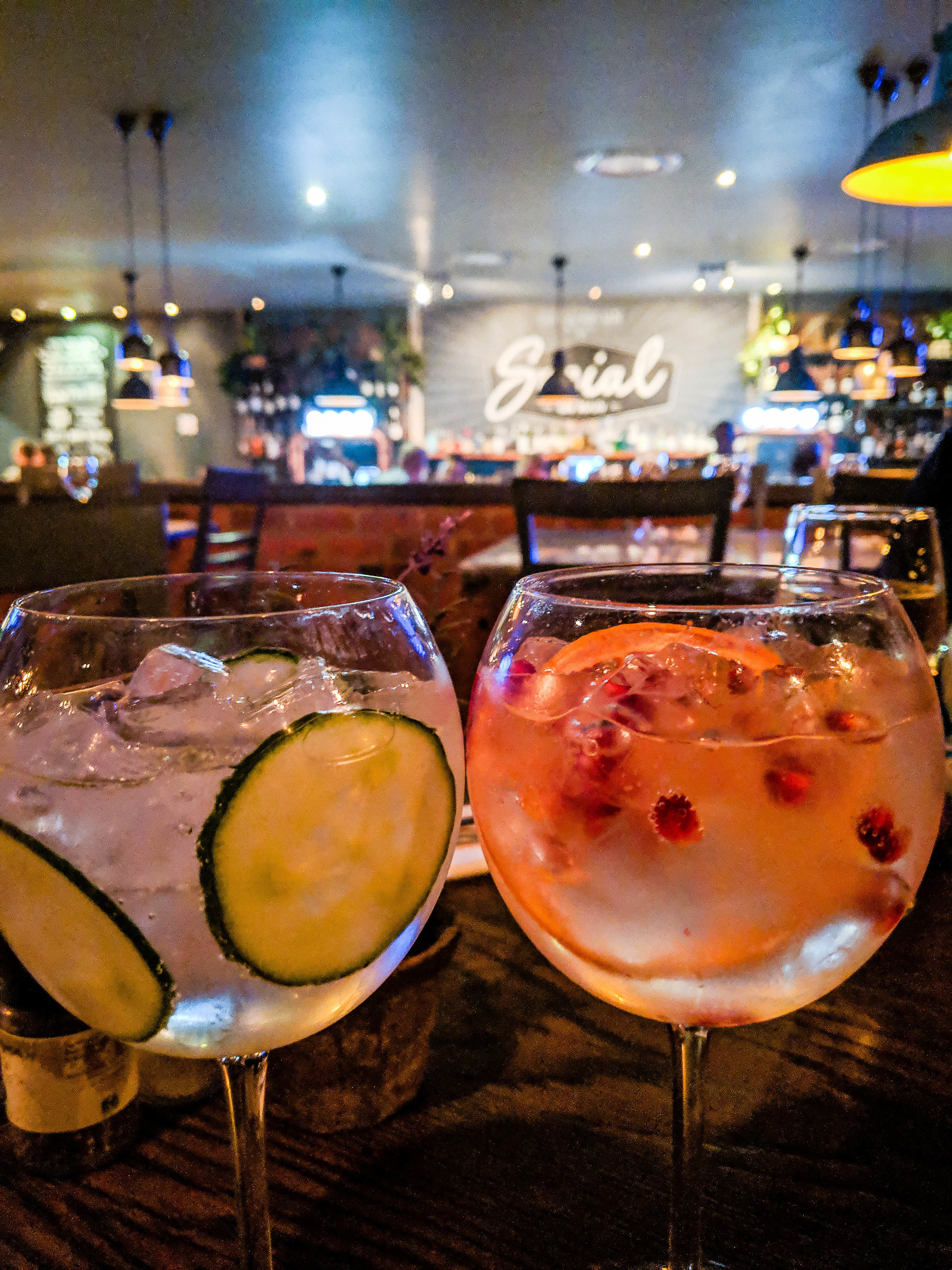 Gin and Tonic in Johannesburg Itinerary