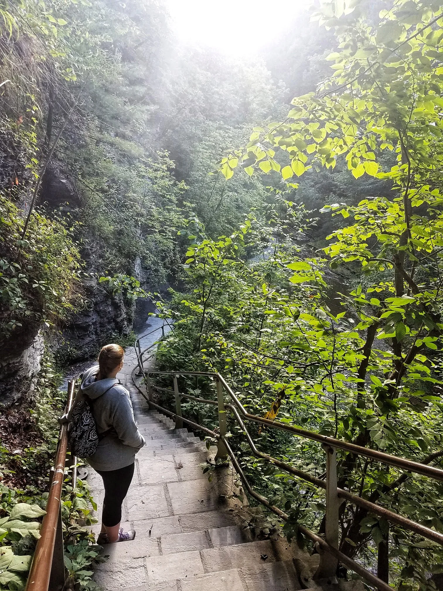 Resized_20180812_075004_3834-01.jpg