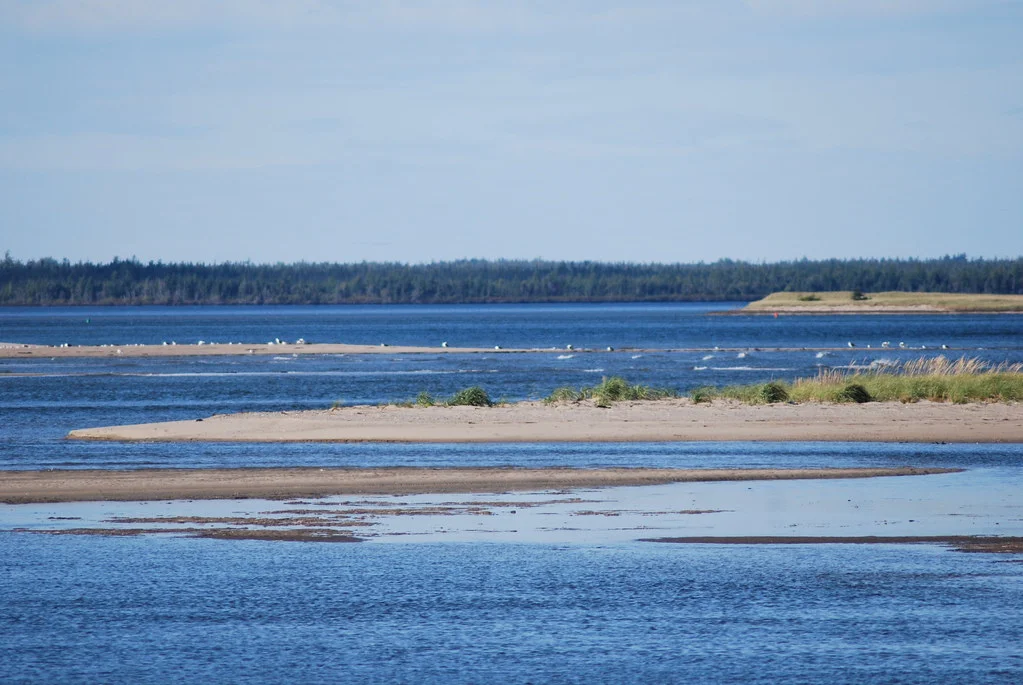 "Kouchibouguac" by Stephen Downes is licensed under CC BY-NC 2.0