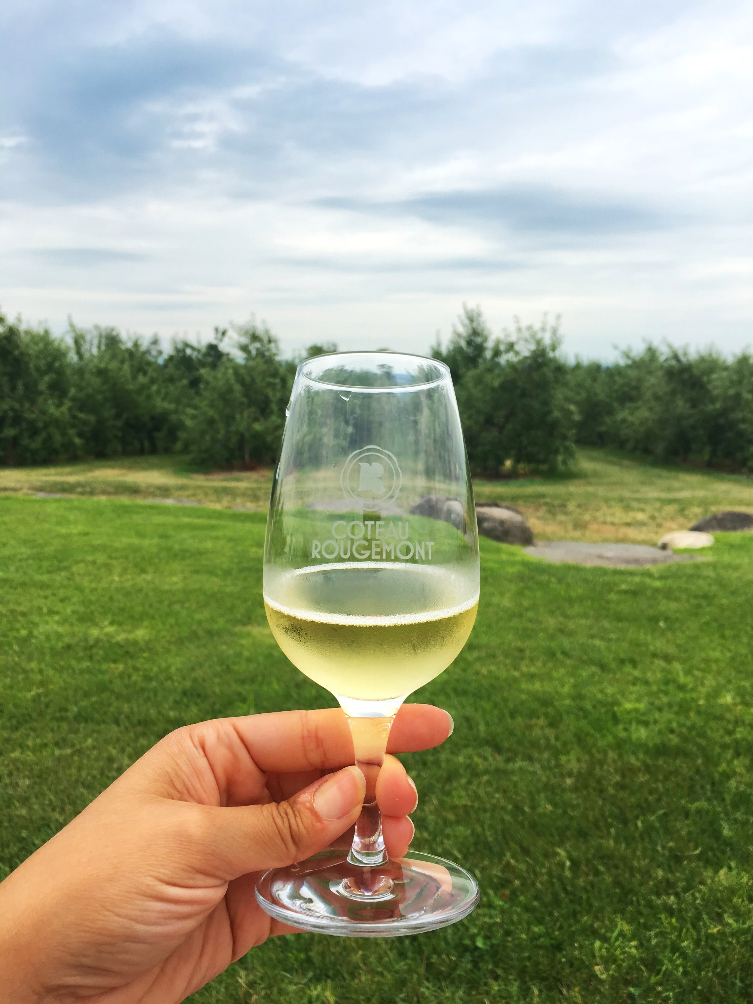 Cider route. view from Mont St Gregoire- trip from Montreal