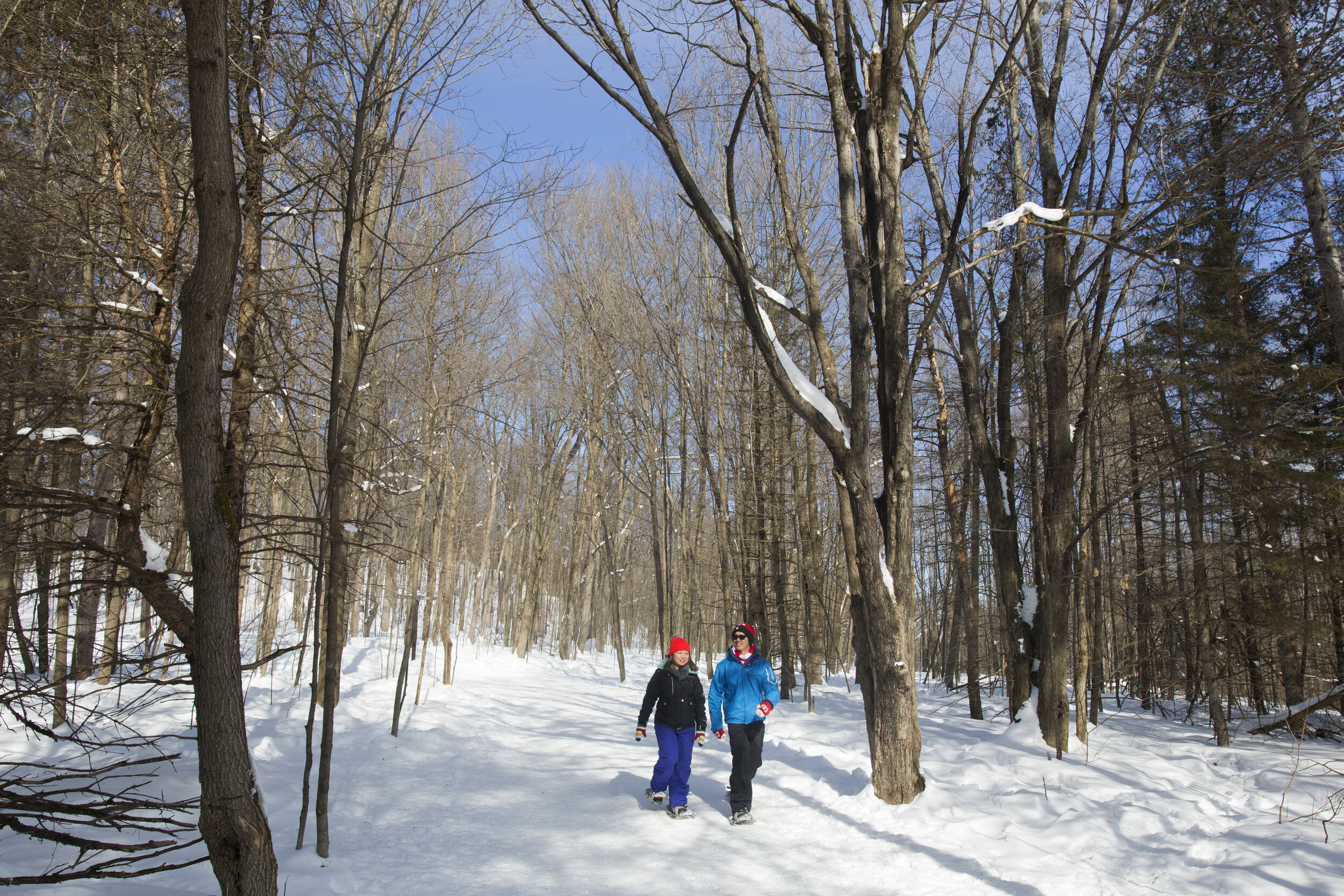 People hiking at the Parc Gatineau