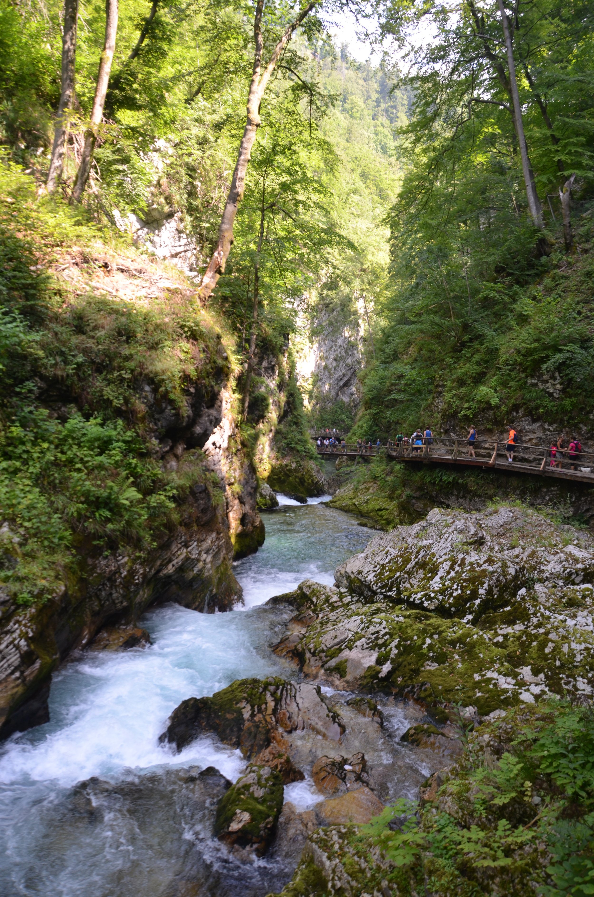 Vintar Gorge - Best day trips from Ljubljana