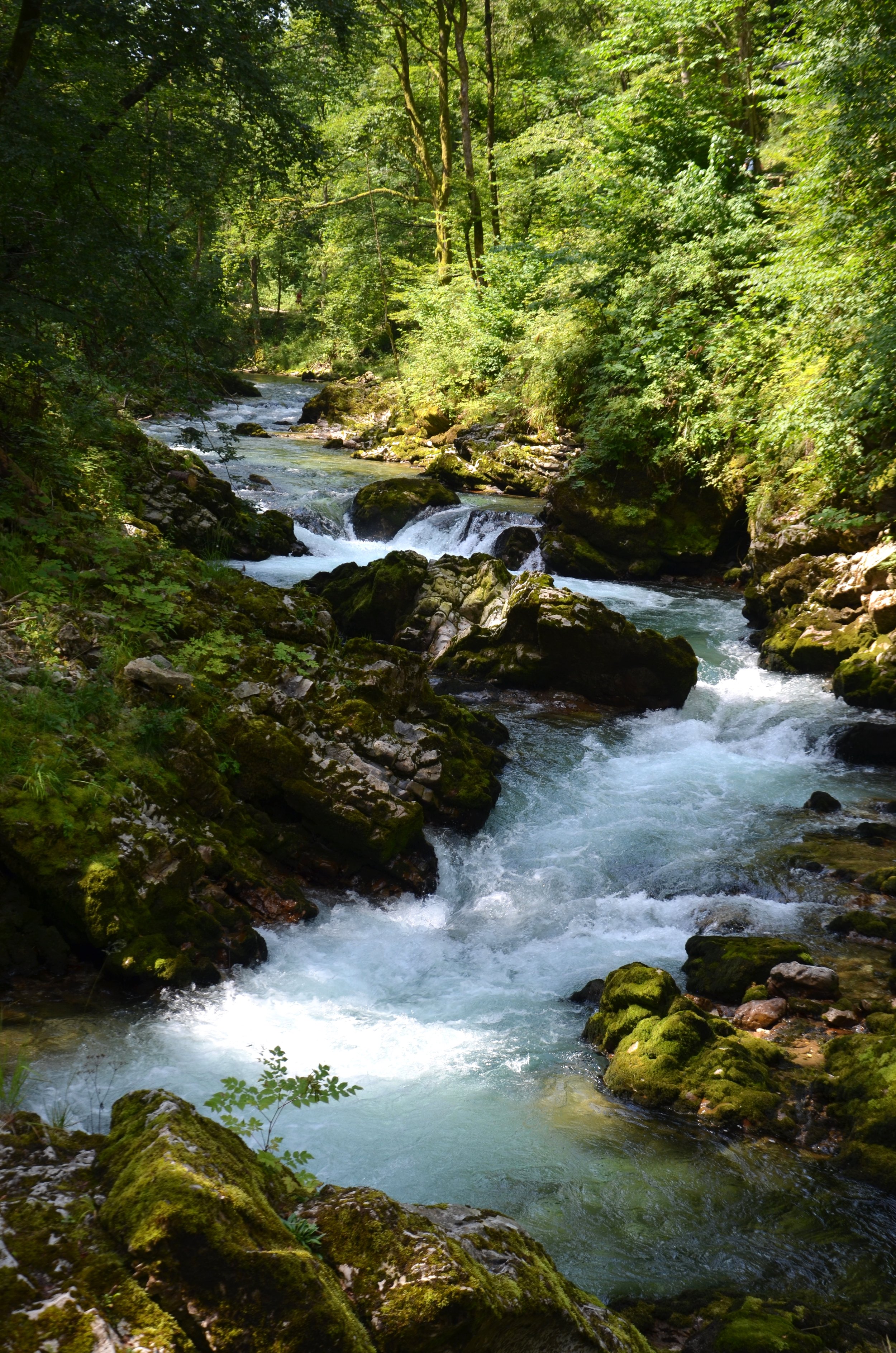 Vintar Gorge - Best day trips from Ljubljana