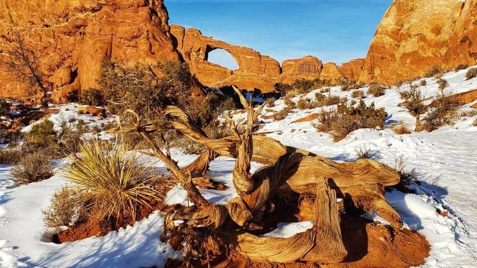 Places to visit in the USA in January