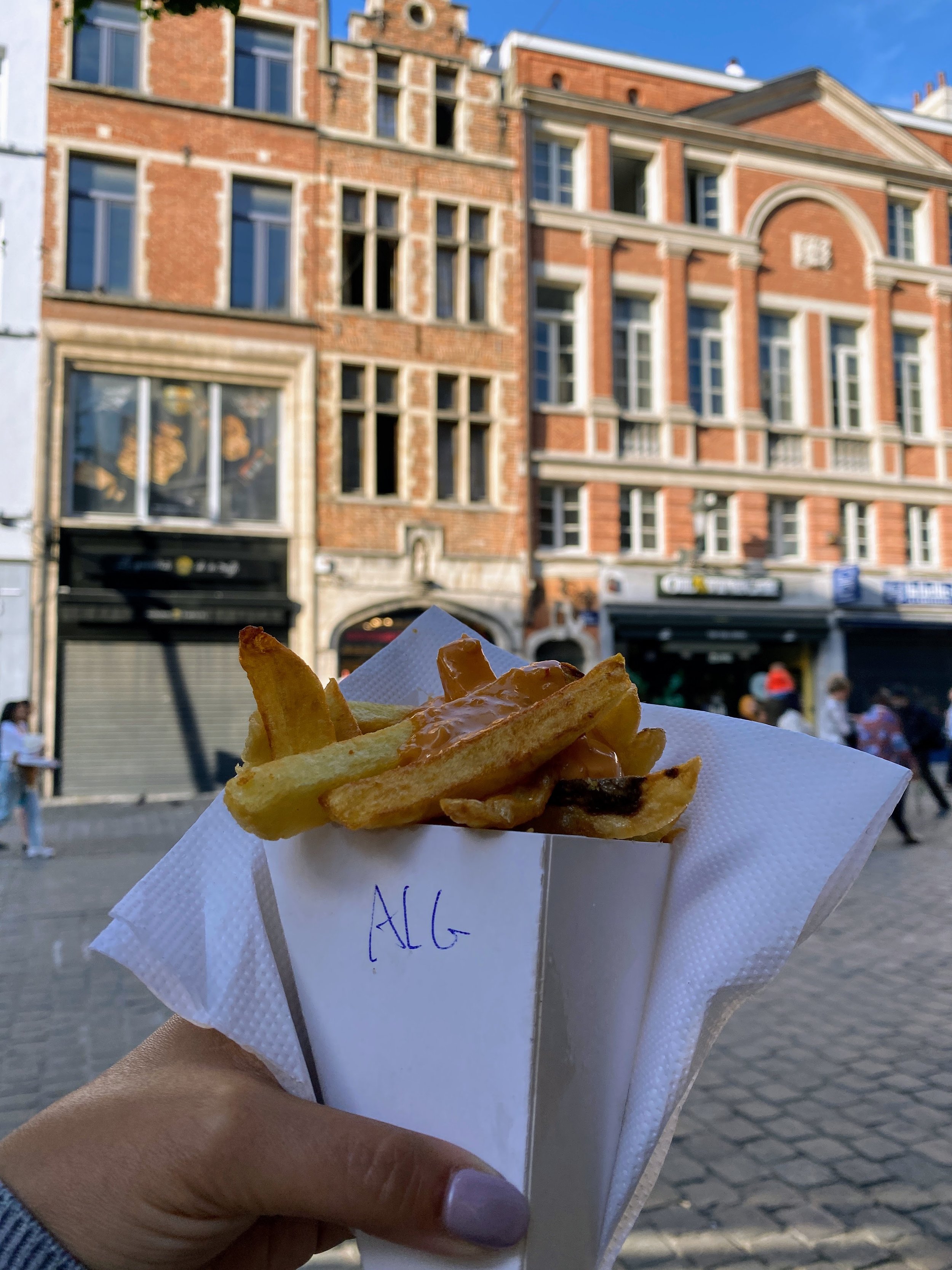 Belgian Fries.JPG