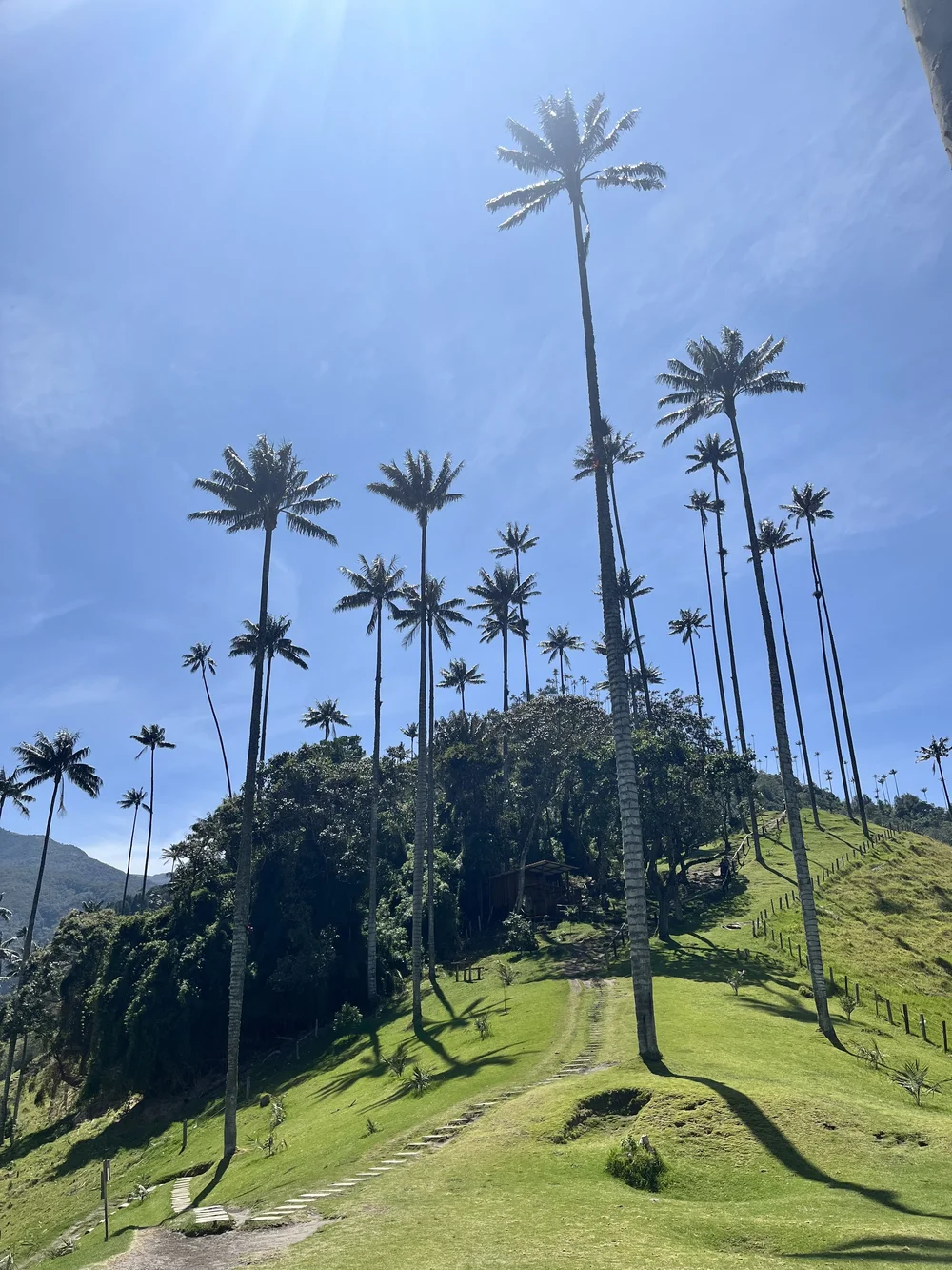 Colombia in Decembre.jpeg