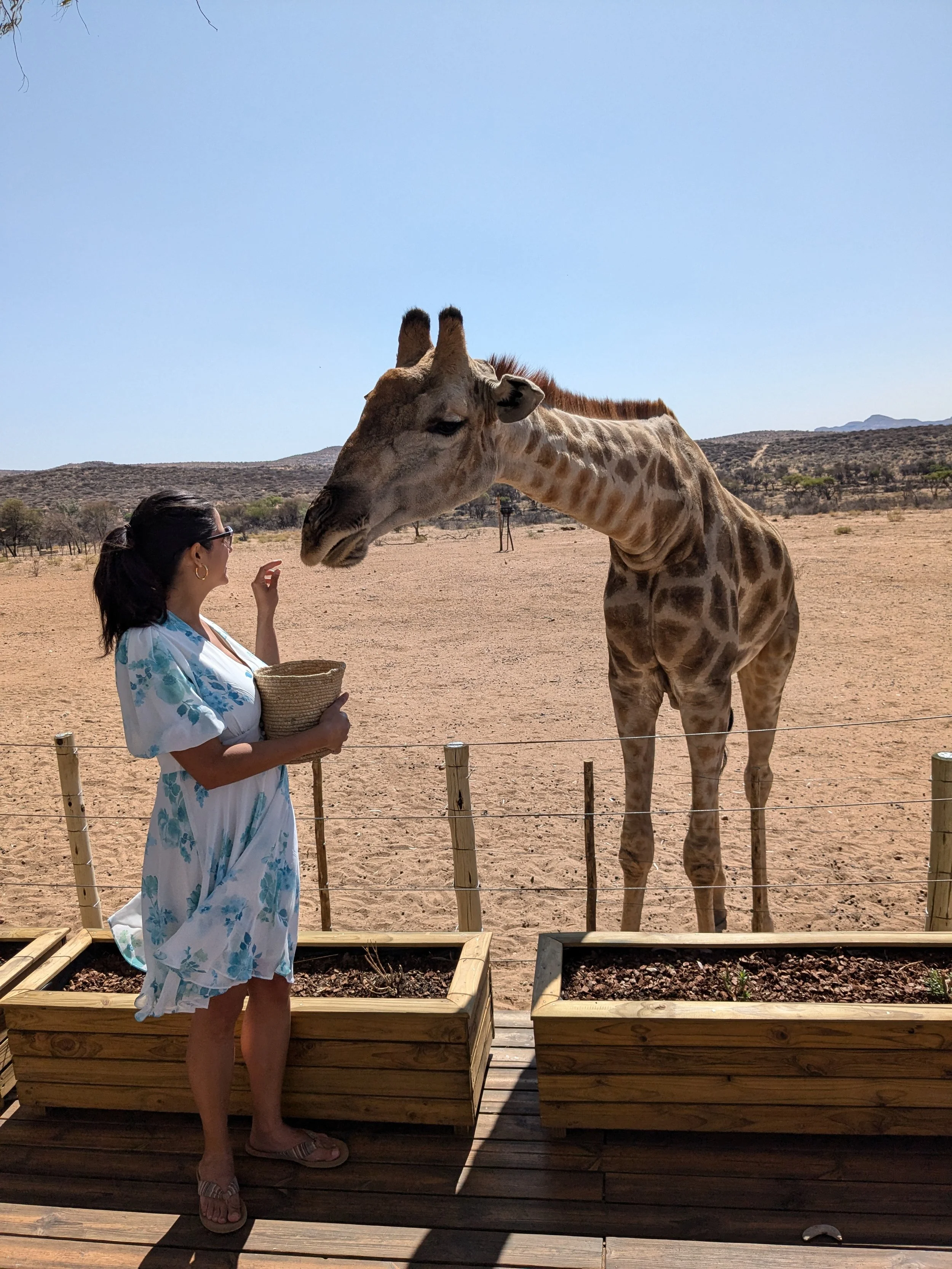 The Perfect Namibia Itinerary: How to Road Trip From Windhoek to Fish River Canyon