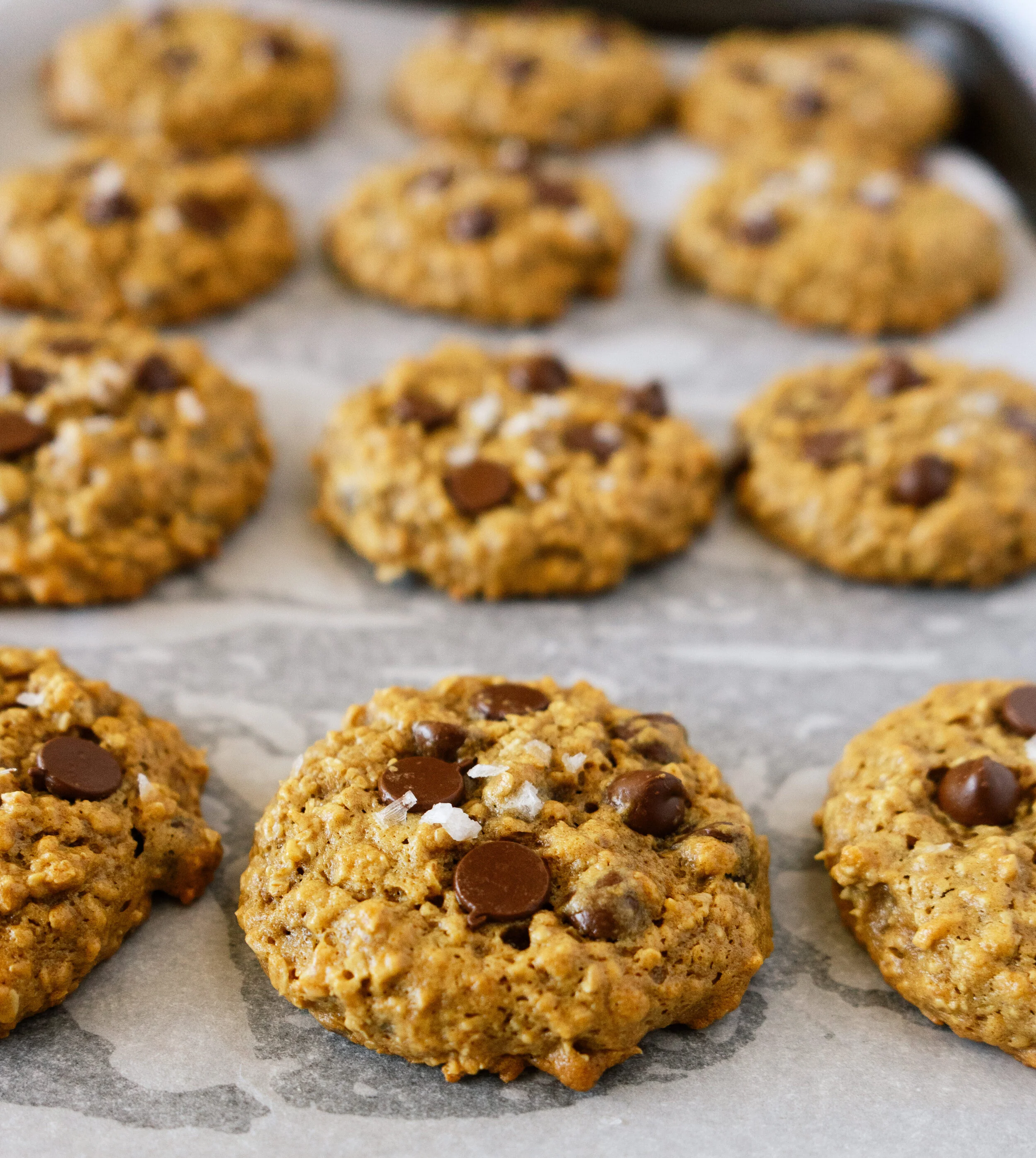 Peanut Butter Chocolate Chip Oatmeal Cookies — Mad About Food