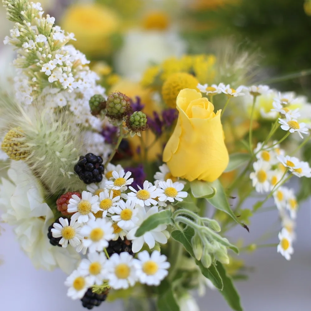 Local, sustainable flowers in Santa Cruz and Monterey counties for DIY bride or wedding flowers