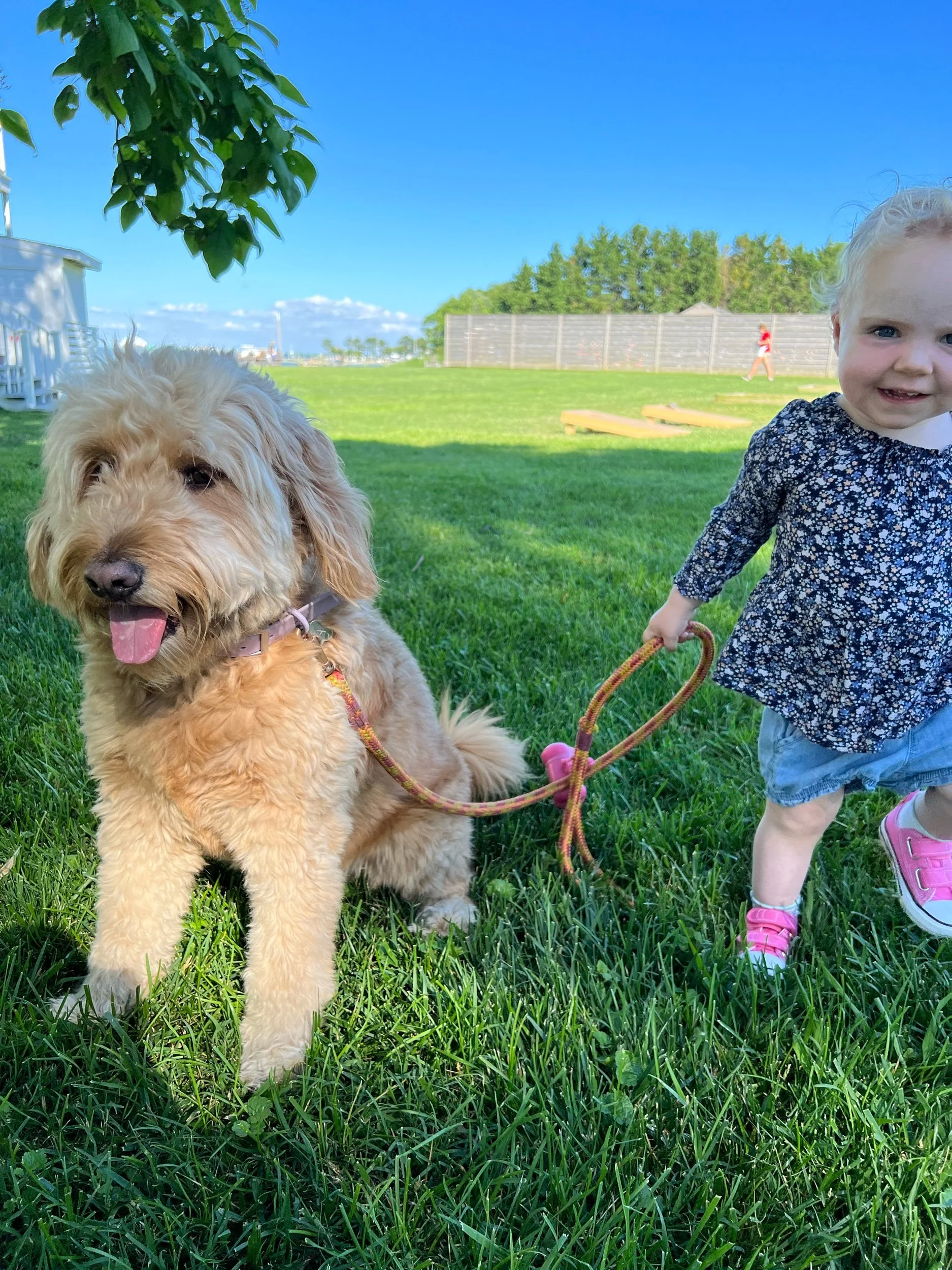 BFFs on Tilghman Island