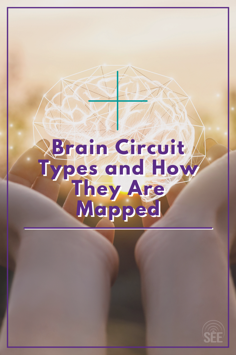 Brain Circuit Types and How They Are Mapped(3).png