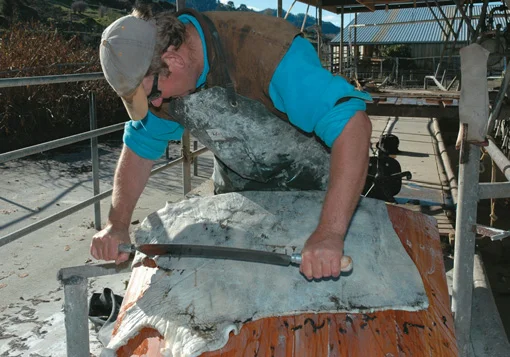 De-hairing the hide