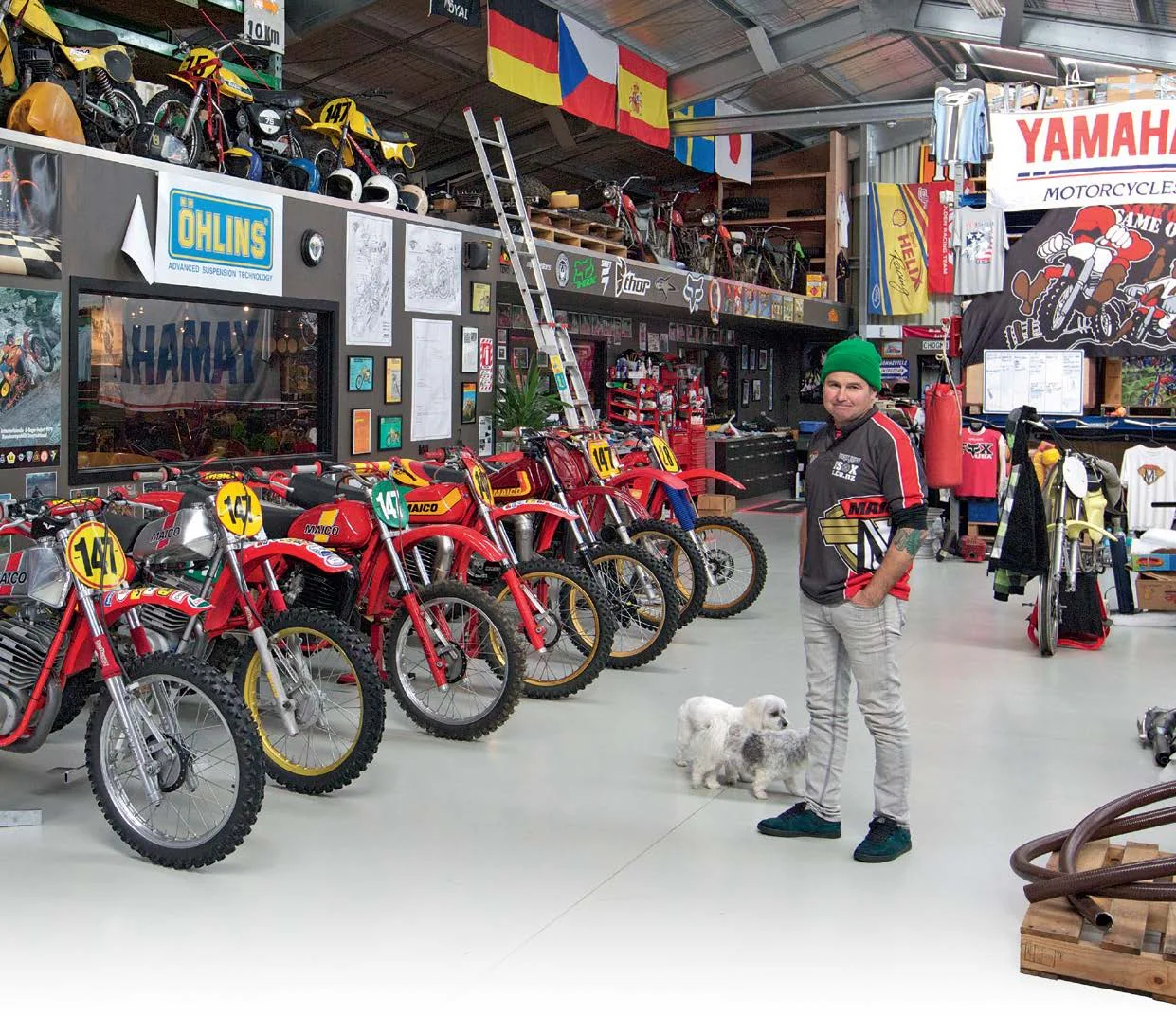 Steve Gallichan and his collection of vintage Maico bikes. Maltese cross pets Alfie and Bella in attendance.