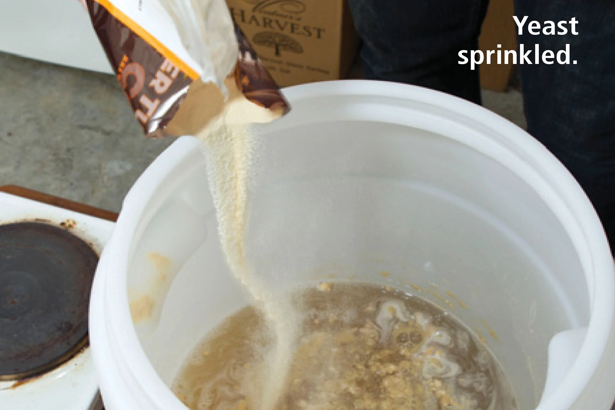Yeast sprinkled