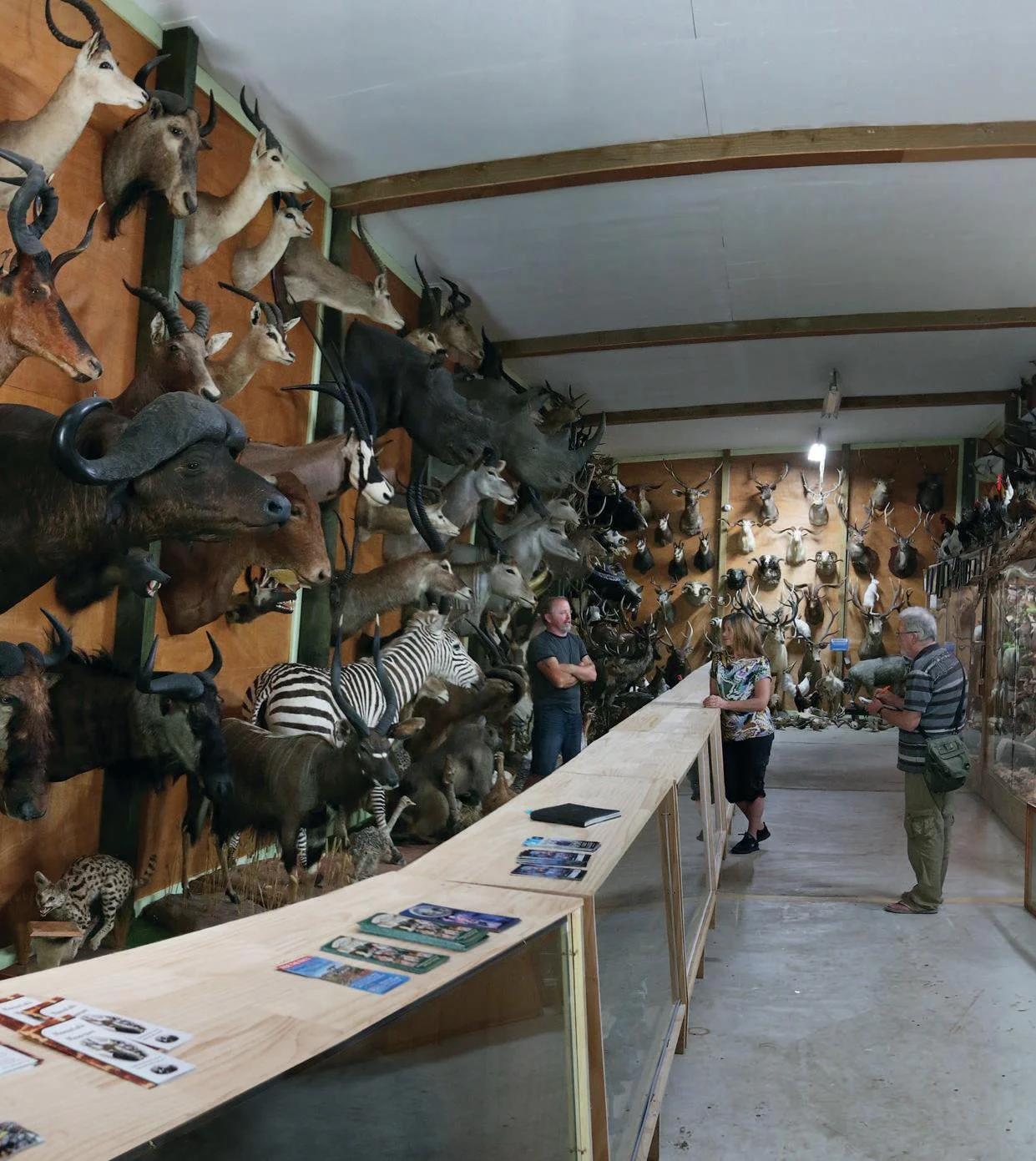 Part of the huge collection at Manutahi Museum