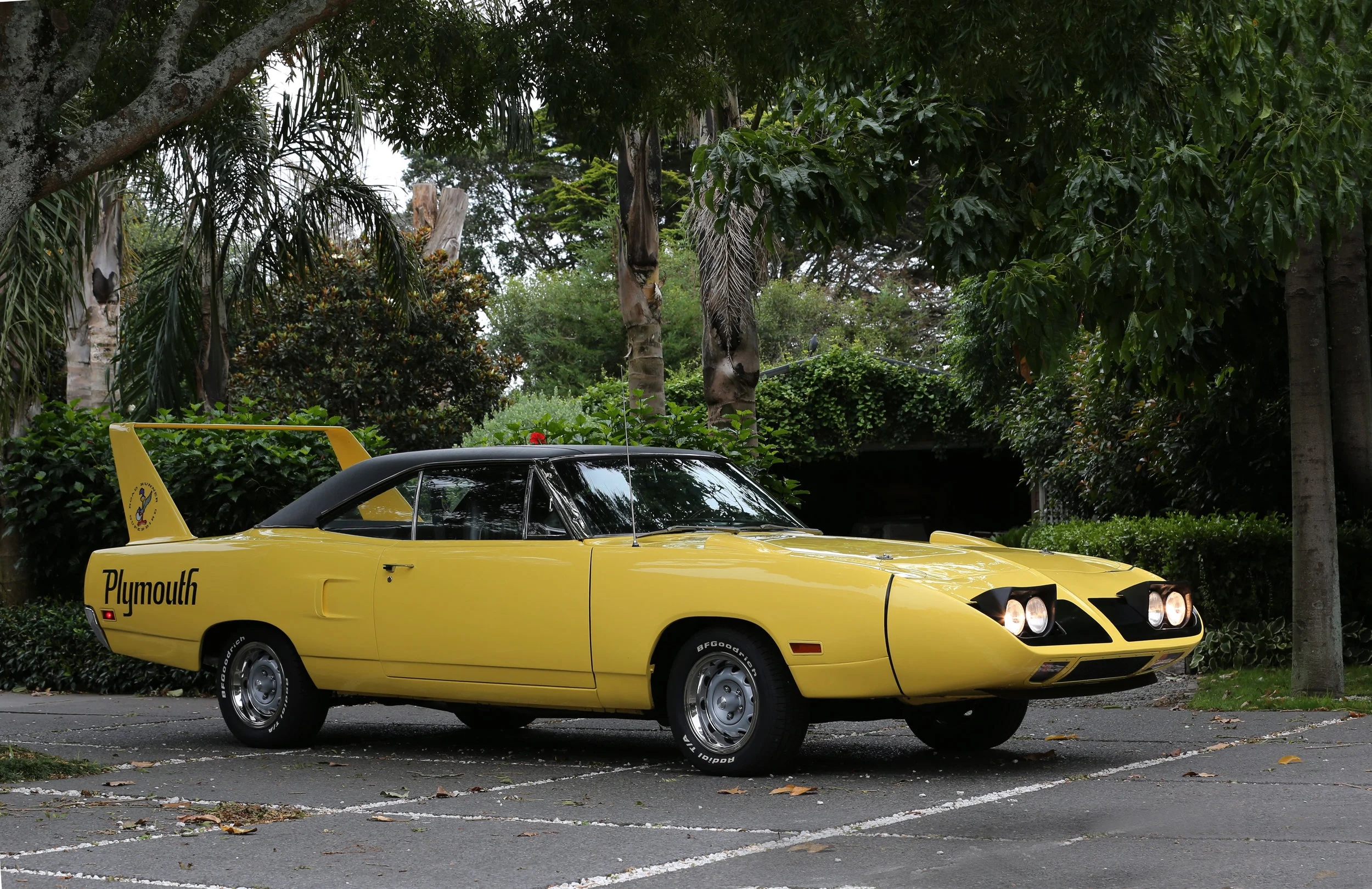 Plymouth Roadrunner #12.jpg