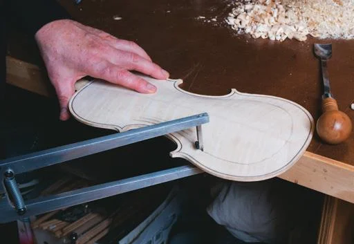 Caliper draws contours.