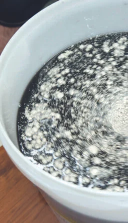 “A galaxy” of yeast