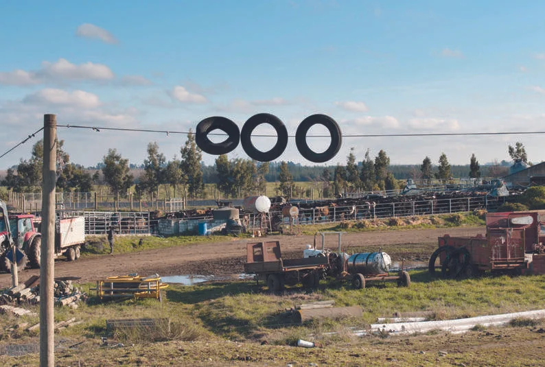 Tyres help prevent impact with the pole. “I’ve had some bruises and black eyes to show for it in the early days.”