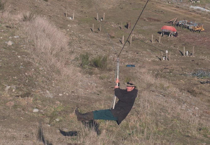 Harry makes the 110-metre ride to work in the milking shed in 10 seconds