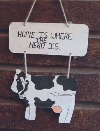 The Meijers milk 780 crossbred Friesians nine months a year at Silvacrest