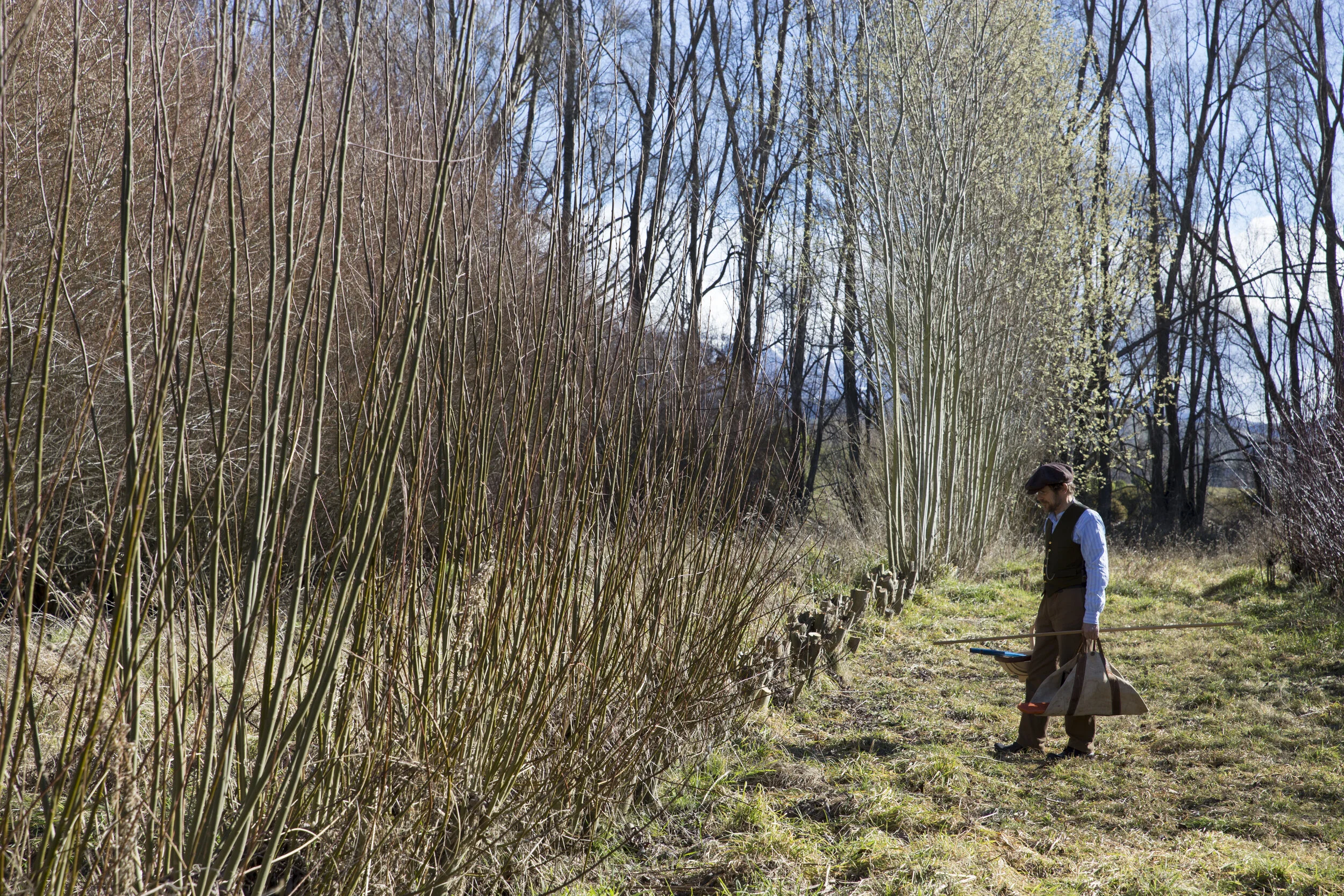 The coppice where it starts