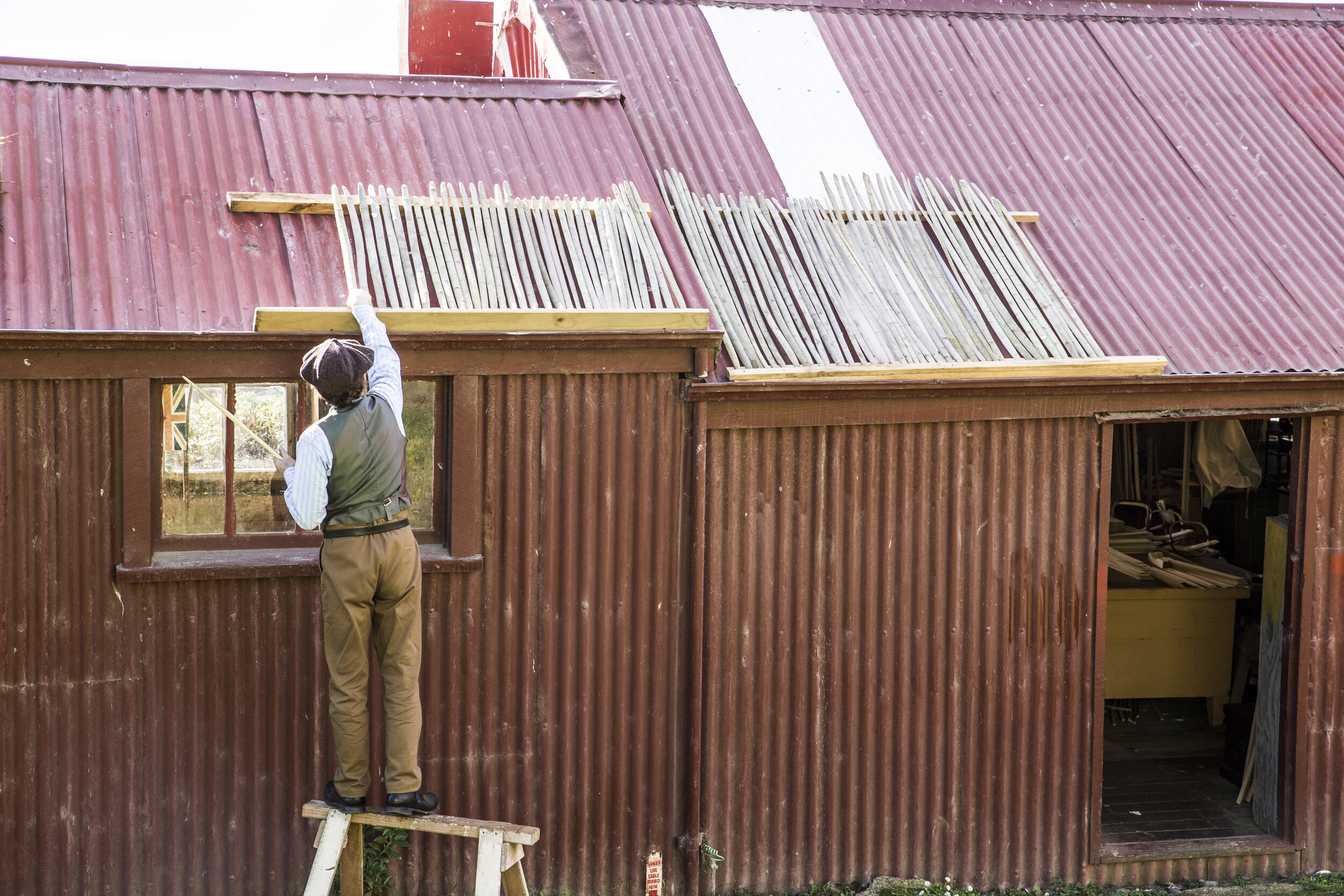 Drying the willow poles
