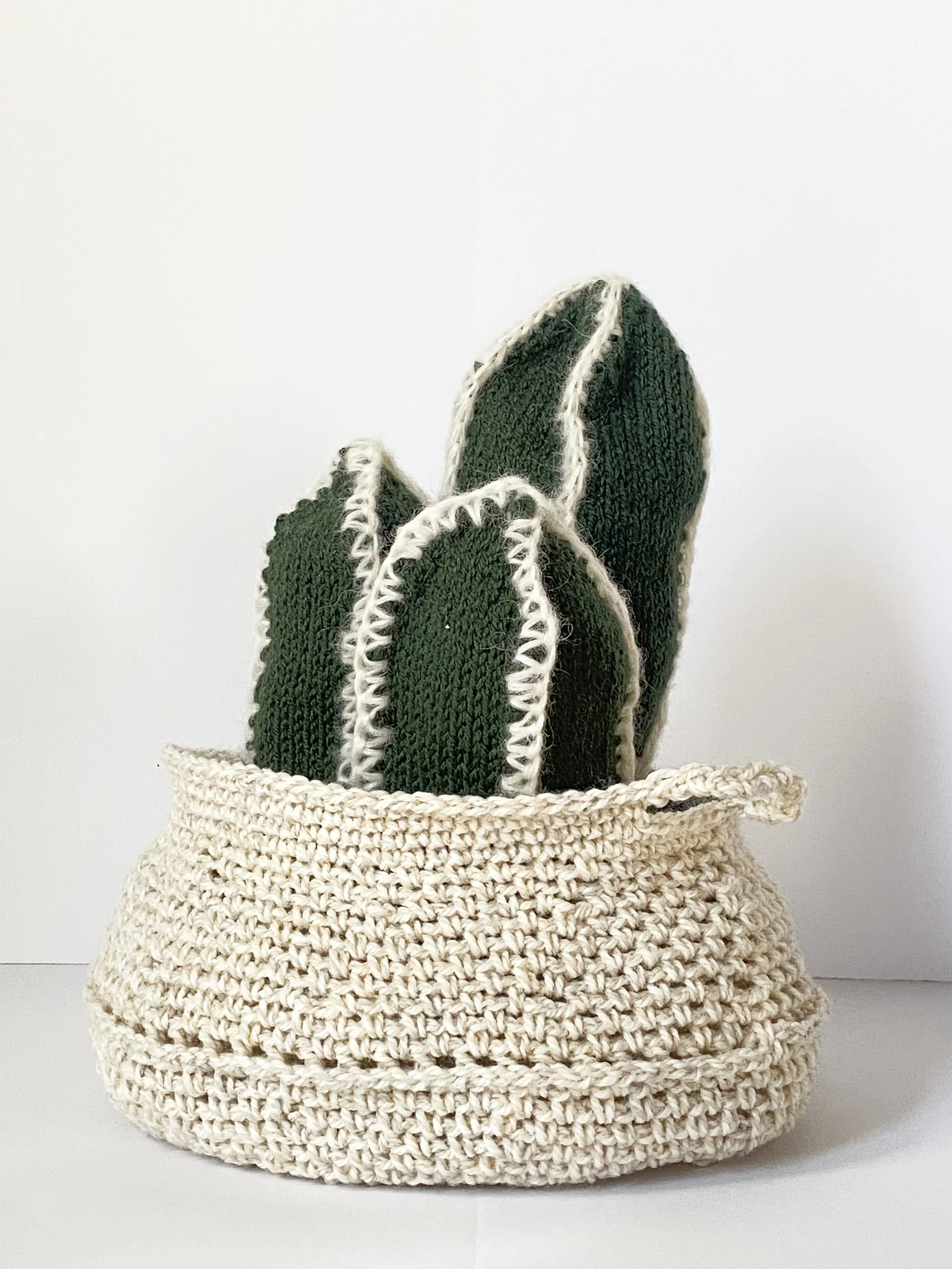 Cactus Arrangement 2.jpg