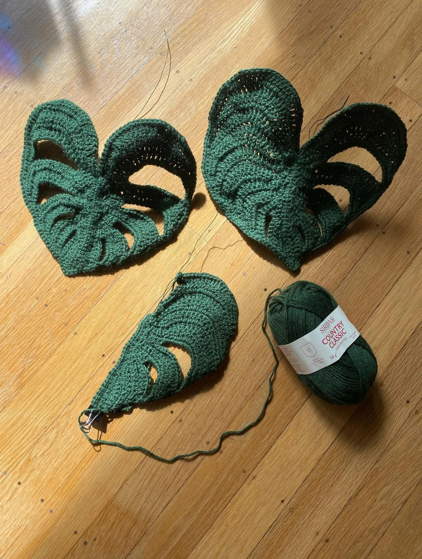 march window progress 🪴🌱🌵🍃