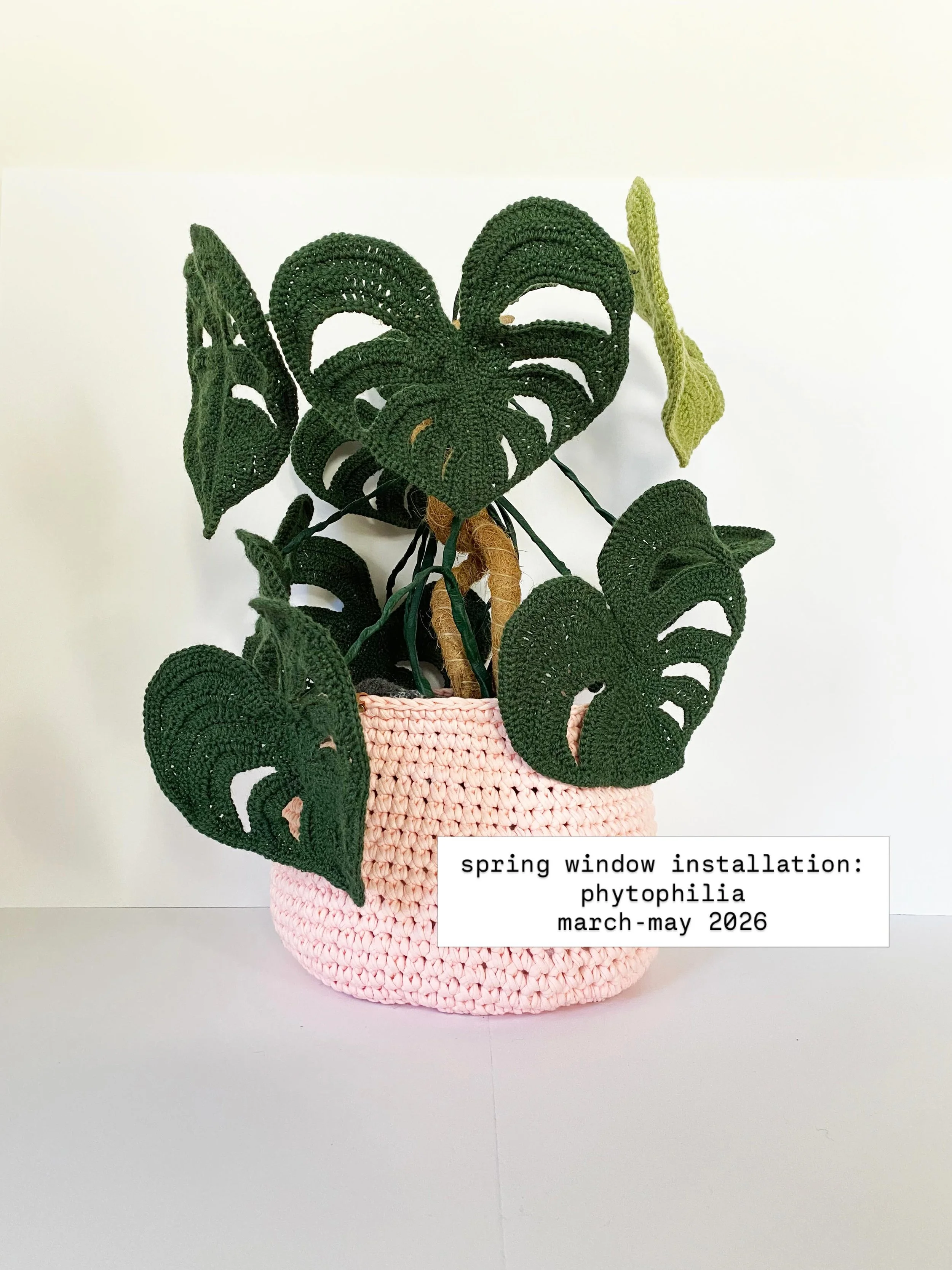 my spring window installation is on view for its last few days @uncommonthreadsyarn as i prep for the next thing coming in june, so these photos needed proper grid memorialization 🌵🪴🌱🍃

this installation represents two whole months of my life tha