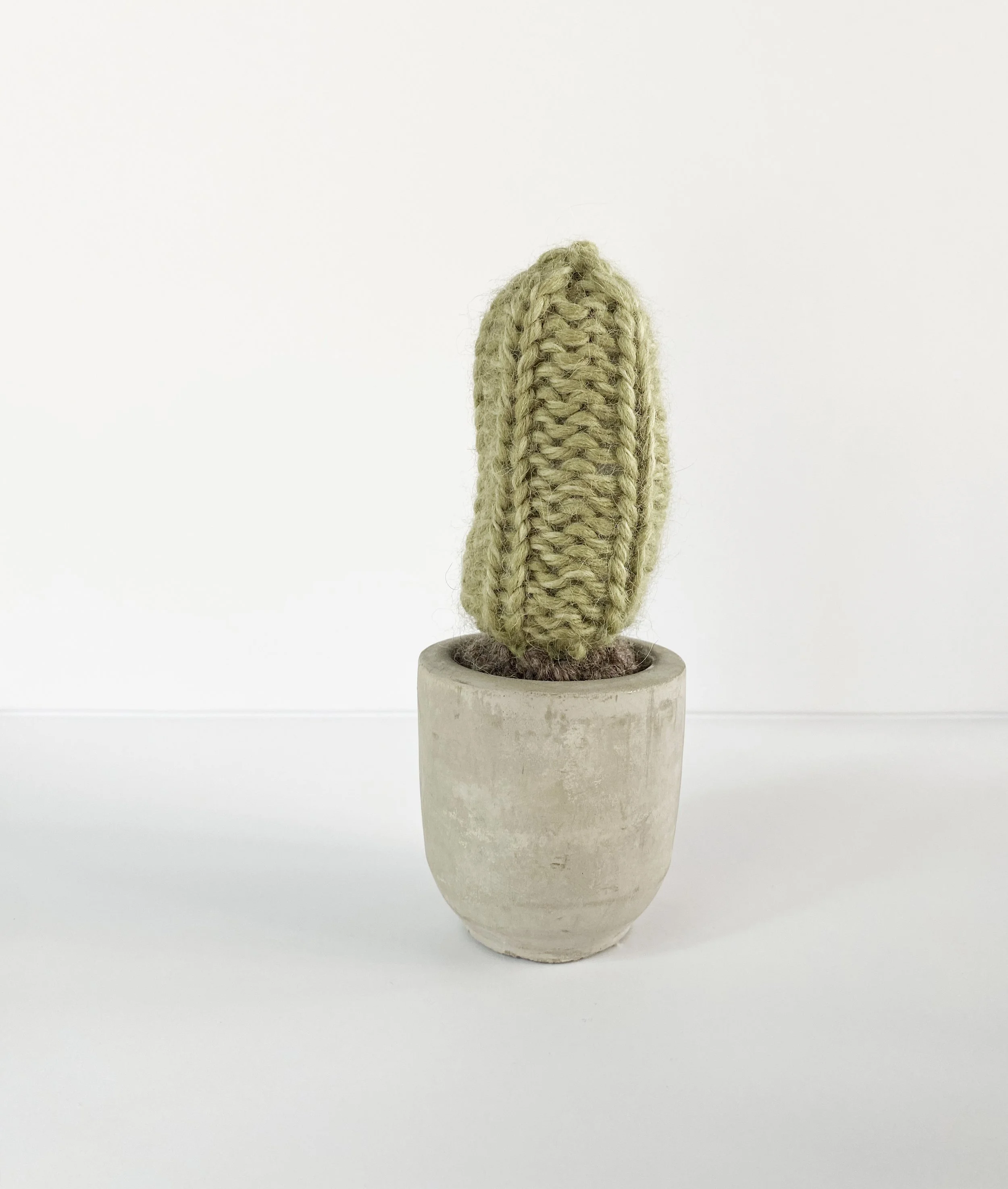 Mini Cactus 3.jpg