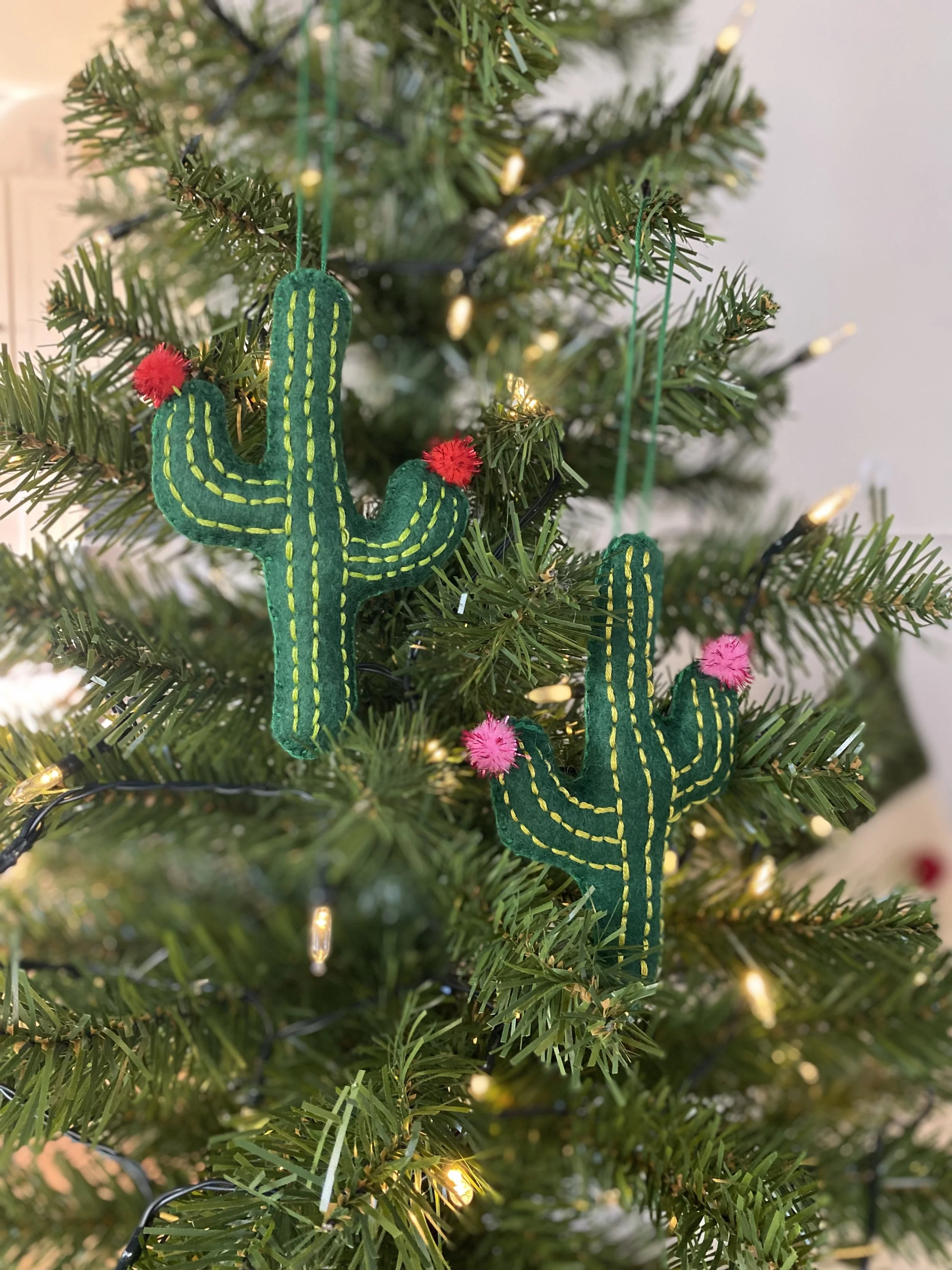 Saguaros.jpg