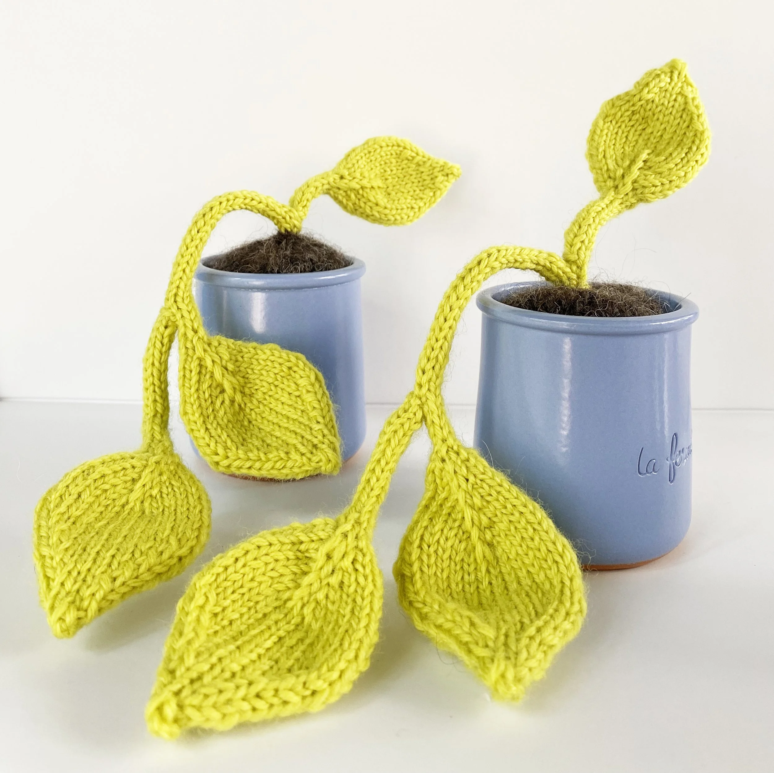 small pothos 4.jpg