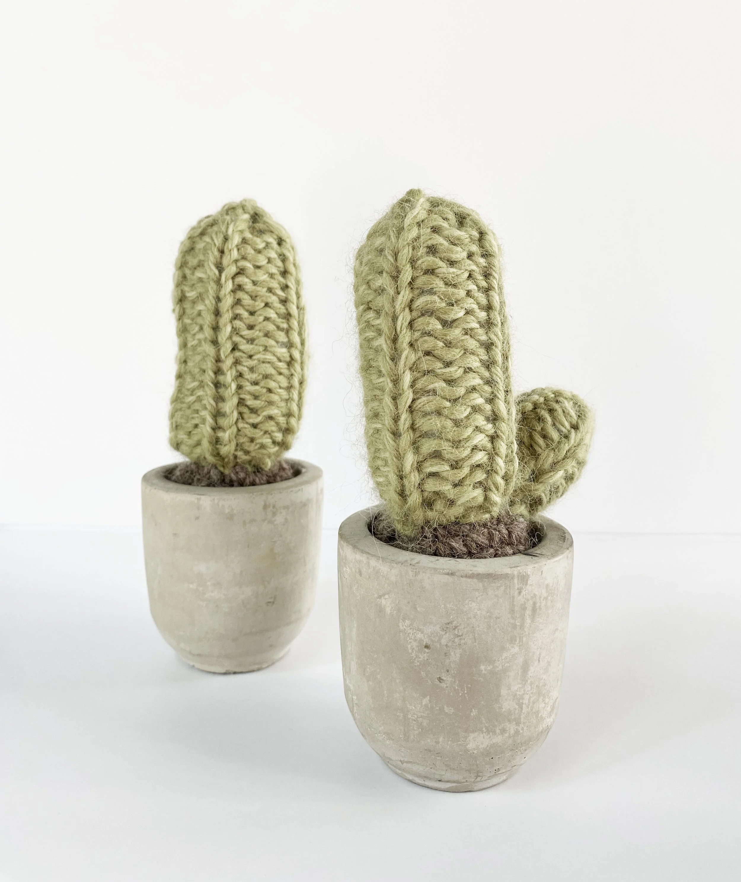Mini Cactus 5.jpg