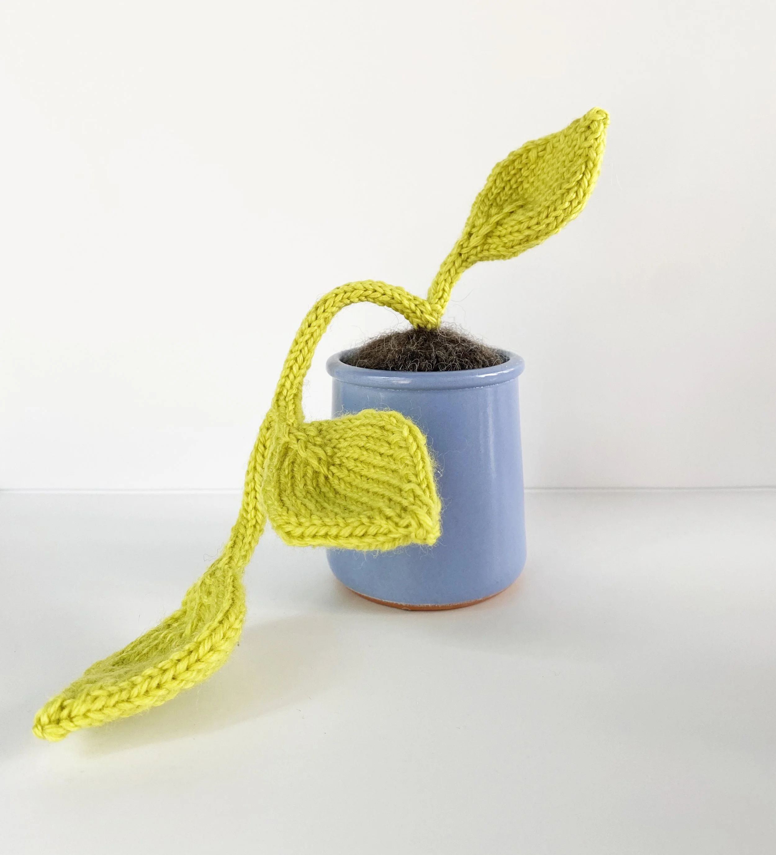 small pothos 2.jpg