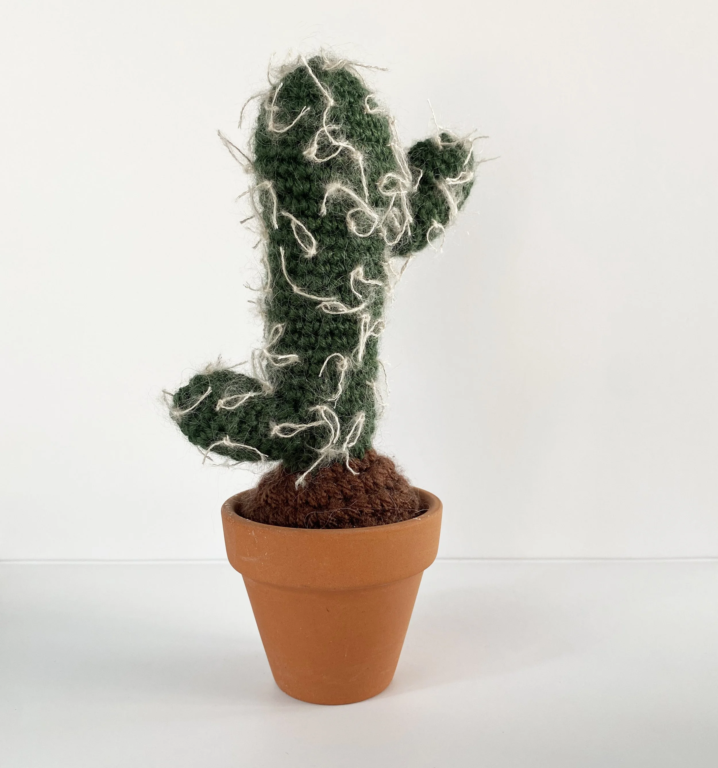 Small Crochet Snow Opuntia Cactus