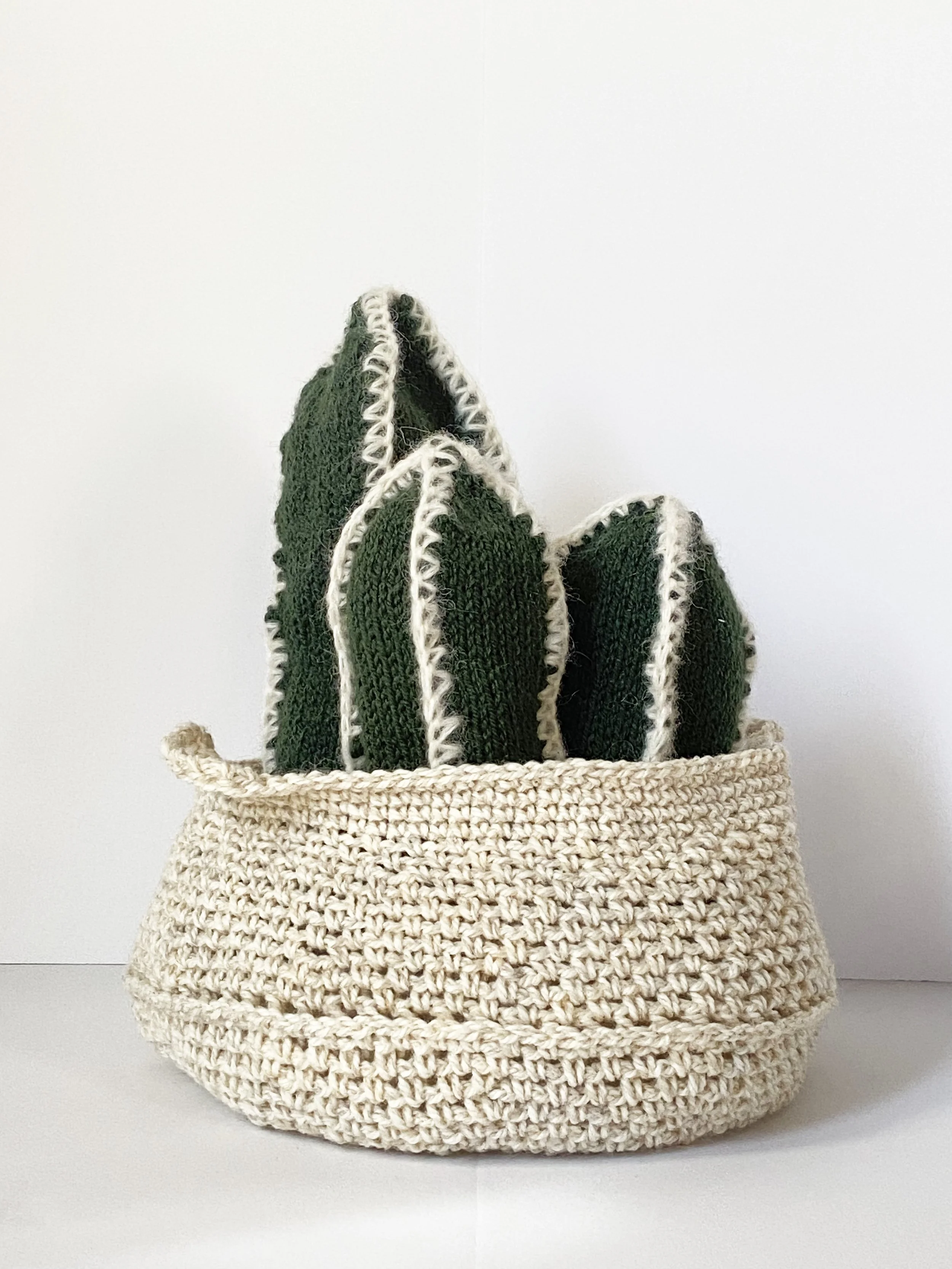 Cactus Arrangement 3.jpg