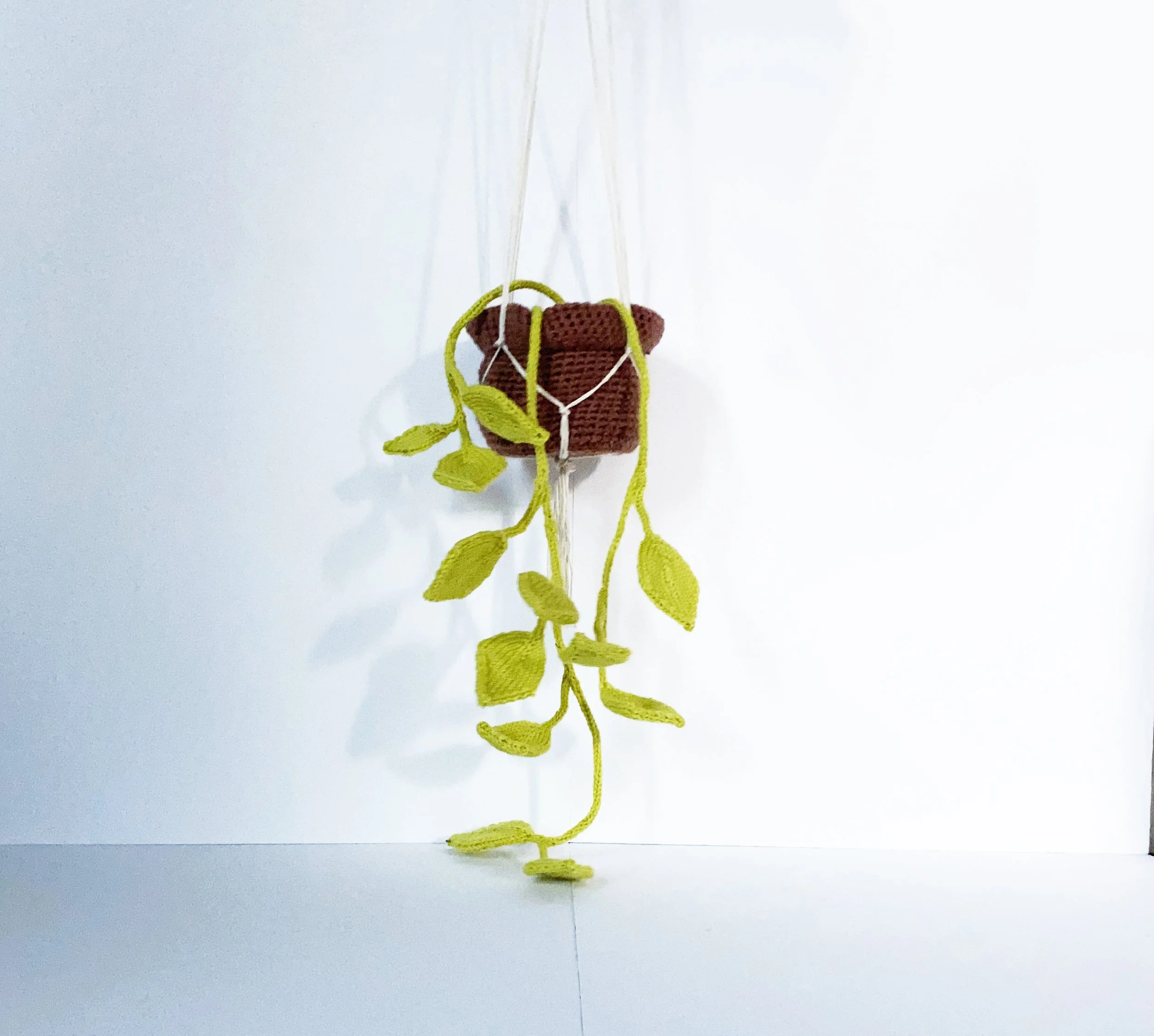 Neon Pothos 1.jpg