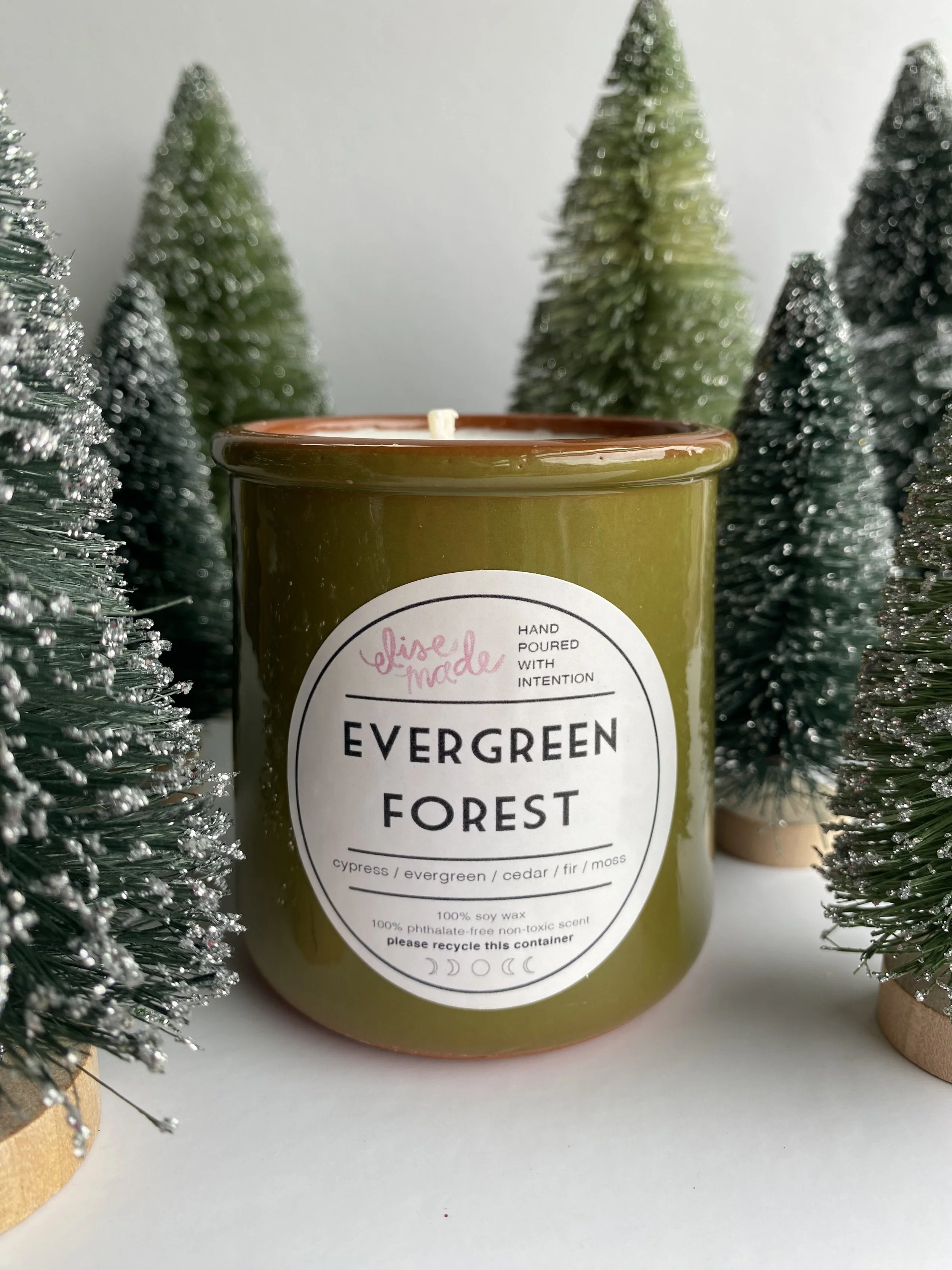 evergreen forest 4.jpg
