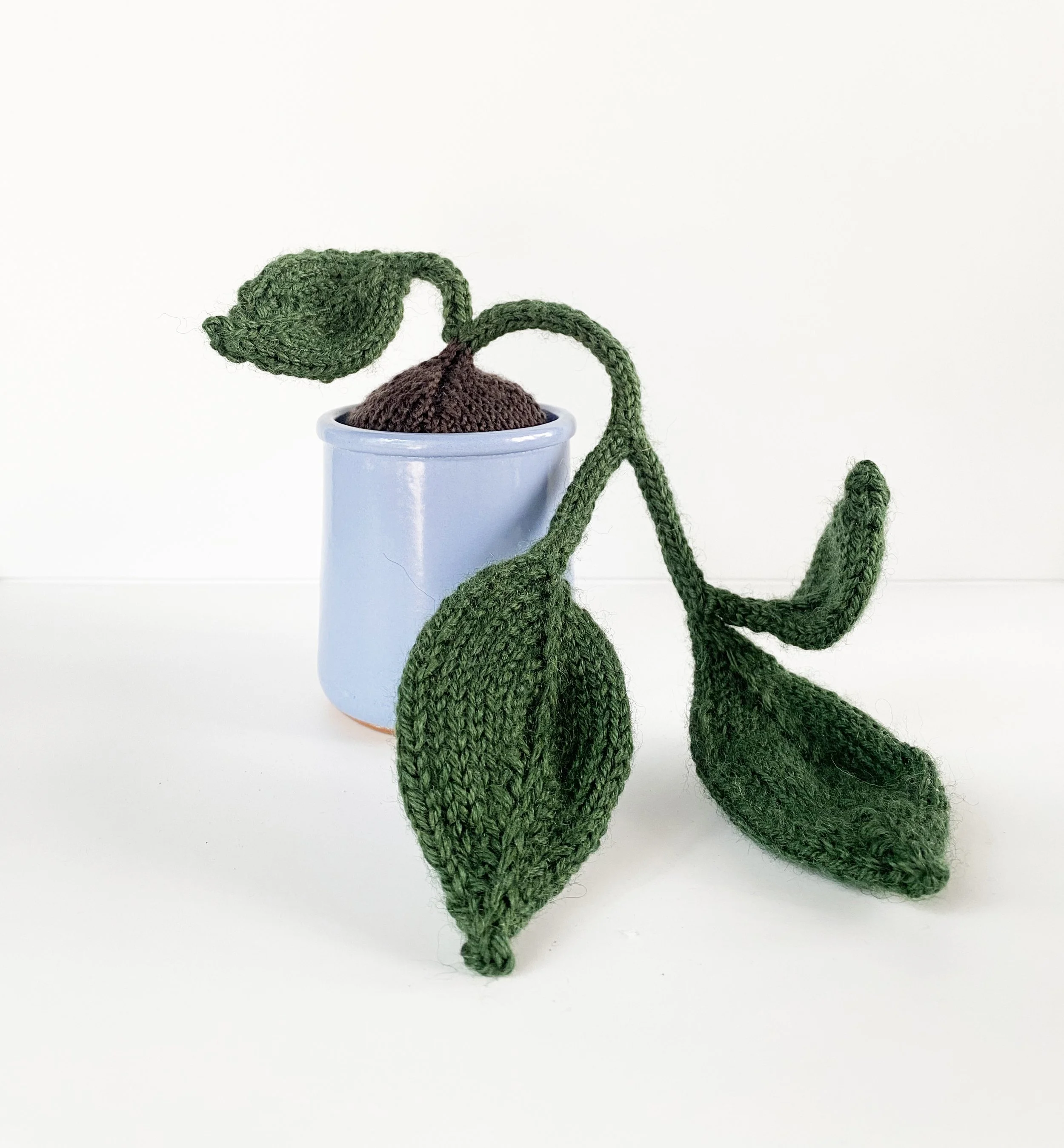 small pothos 3.jpg